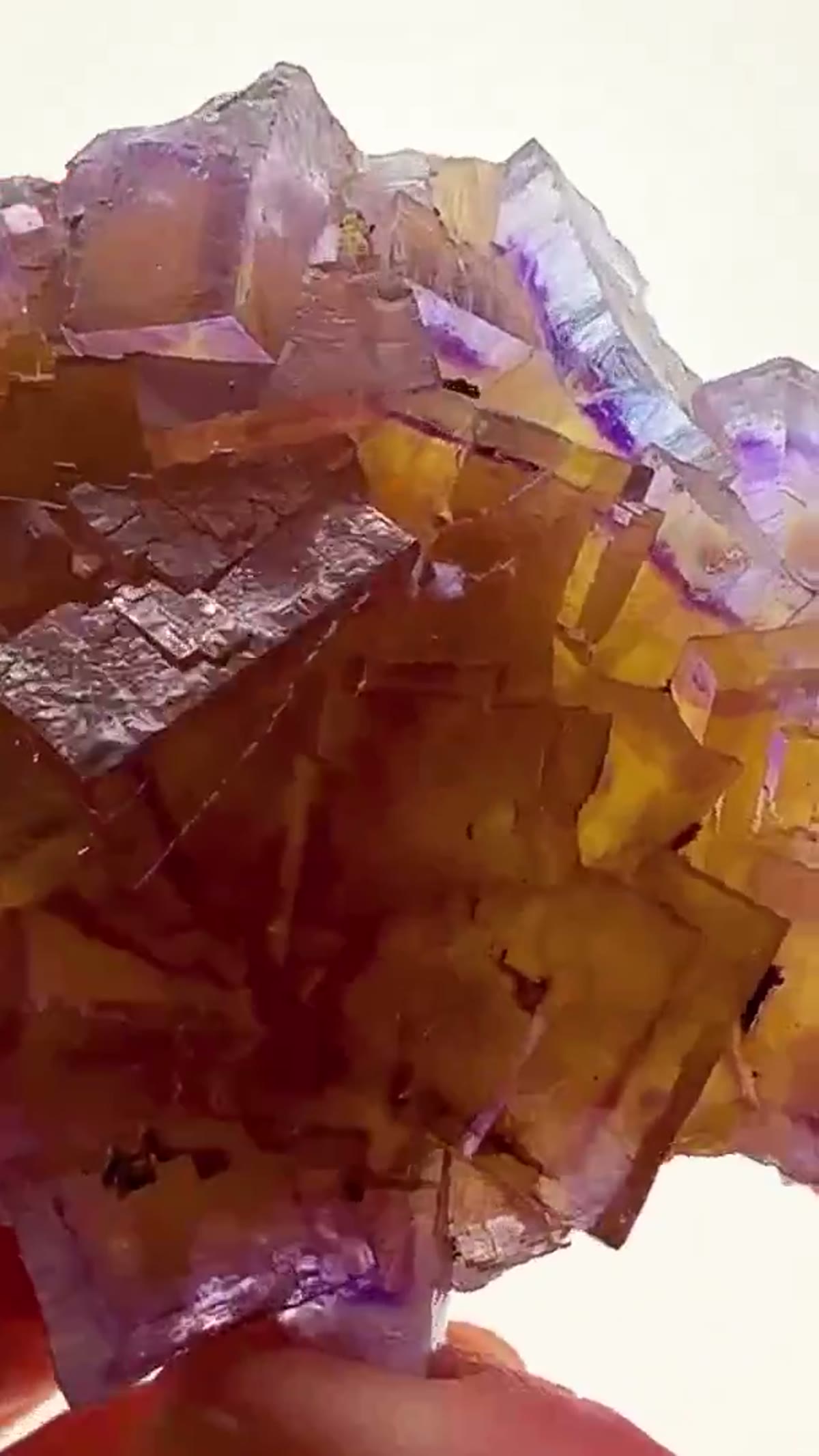 Fluorite Specimen from Minerva No. 1 Mine, Illinois: Minerva No. 1 Color Zoning at its Best - view 2