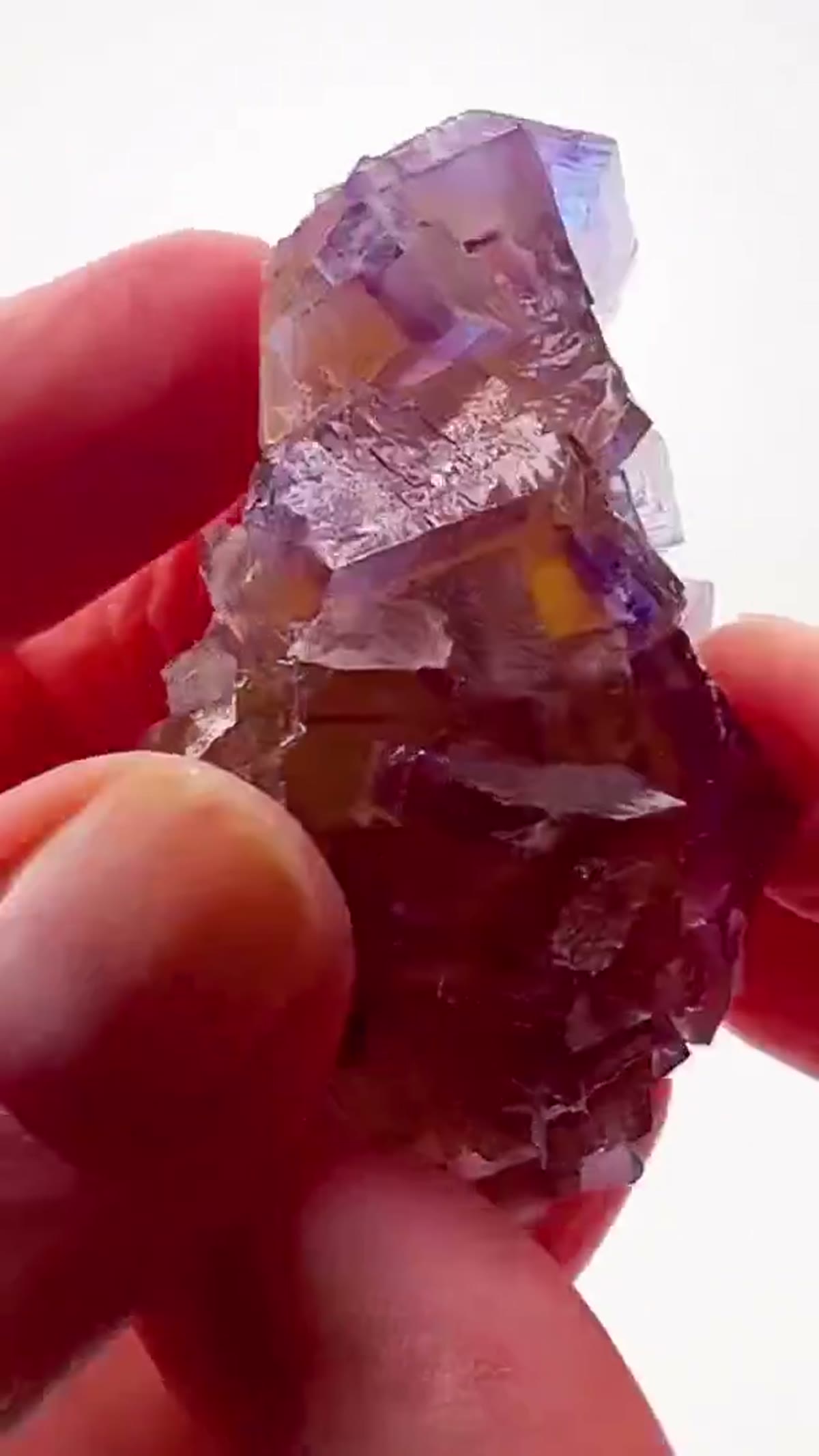 Fluorite Specimen from Minerva No. 1 Mine, Illinois: Minerva No. 1 Color Zoning at its Best - view 3