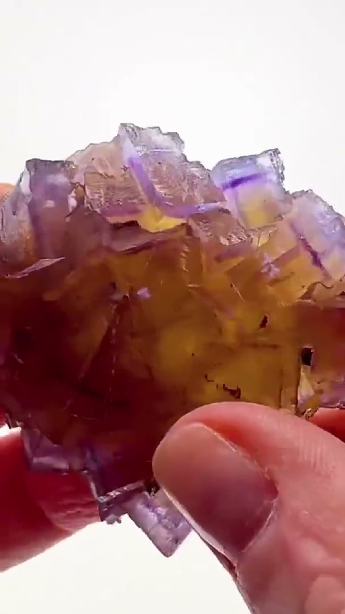 Fluorite Specimen from Minerva No. 1 Mine, Illinois: Minerva No. 1 Color Zoning at its Best - view 4