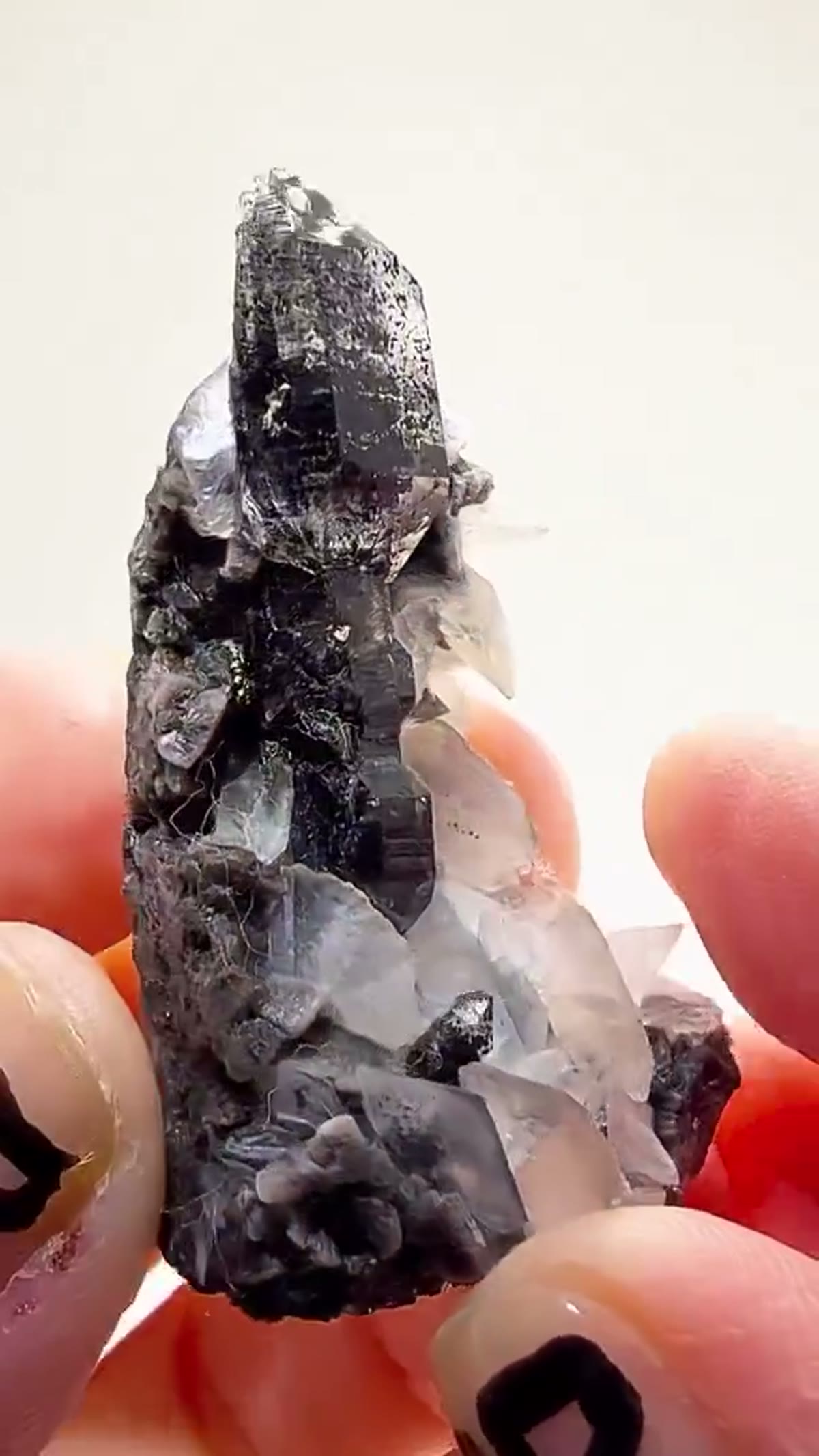 Quartz Specimen: Herkimer Scepter Perfection - view 2