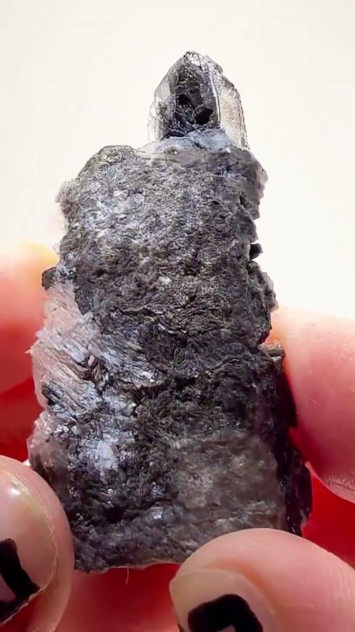 Quartz Specimen: Herkimer Scepter Perfection - view 3