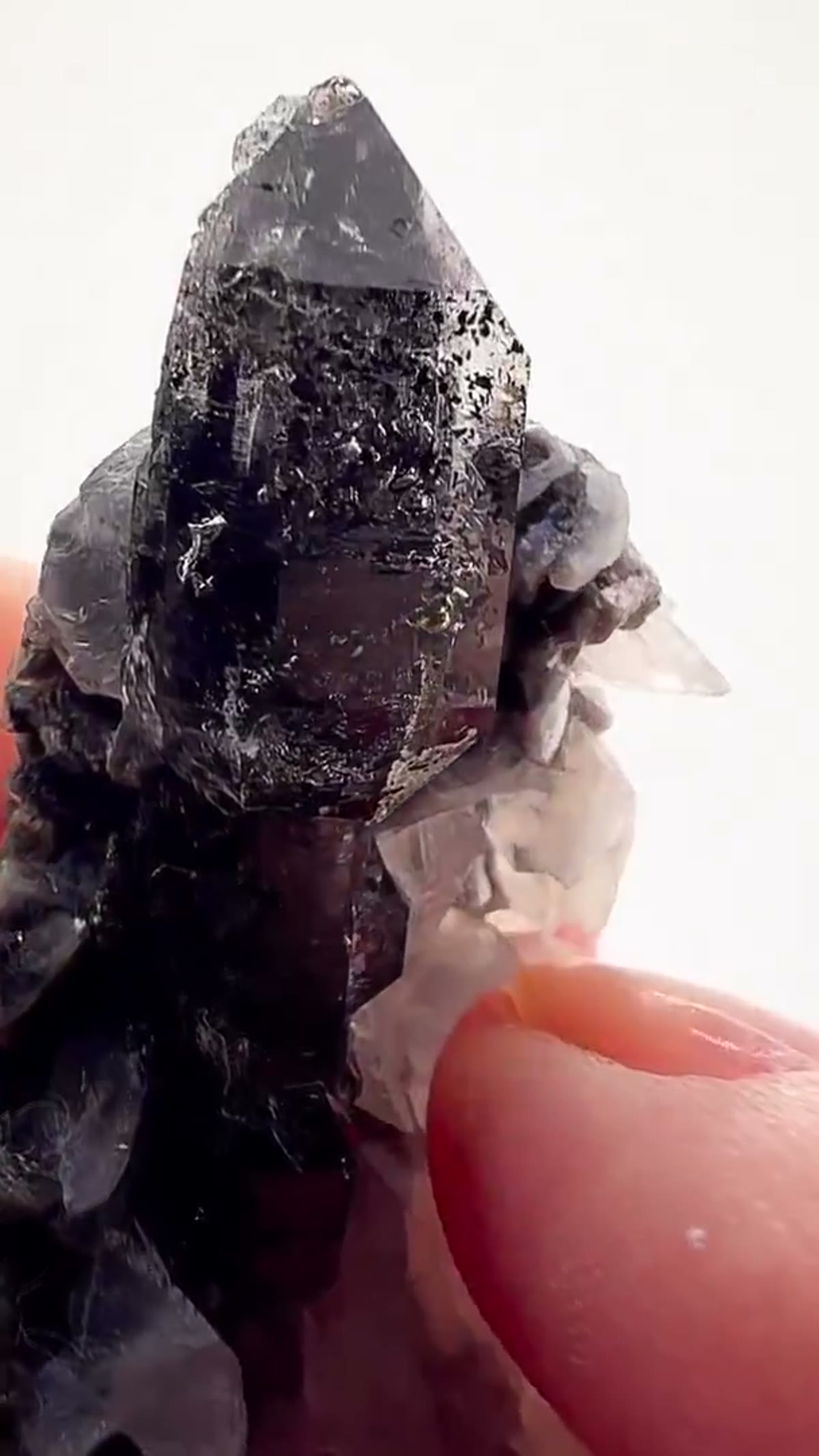 Quartz Specimen: Herkimer Scepter Perfection - view 4