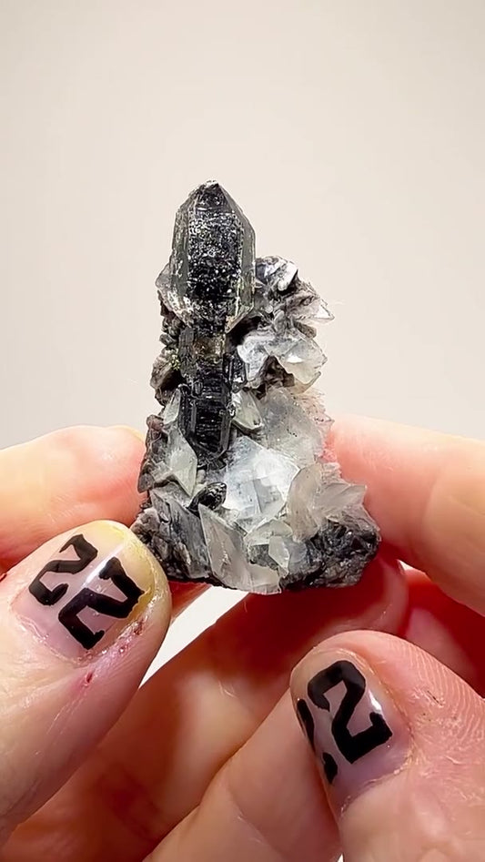 HERKIMER SCEPTER PERFECTION
