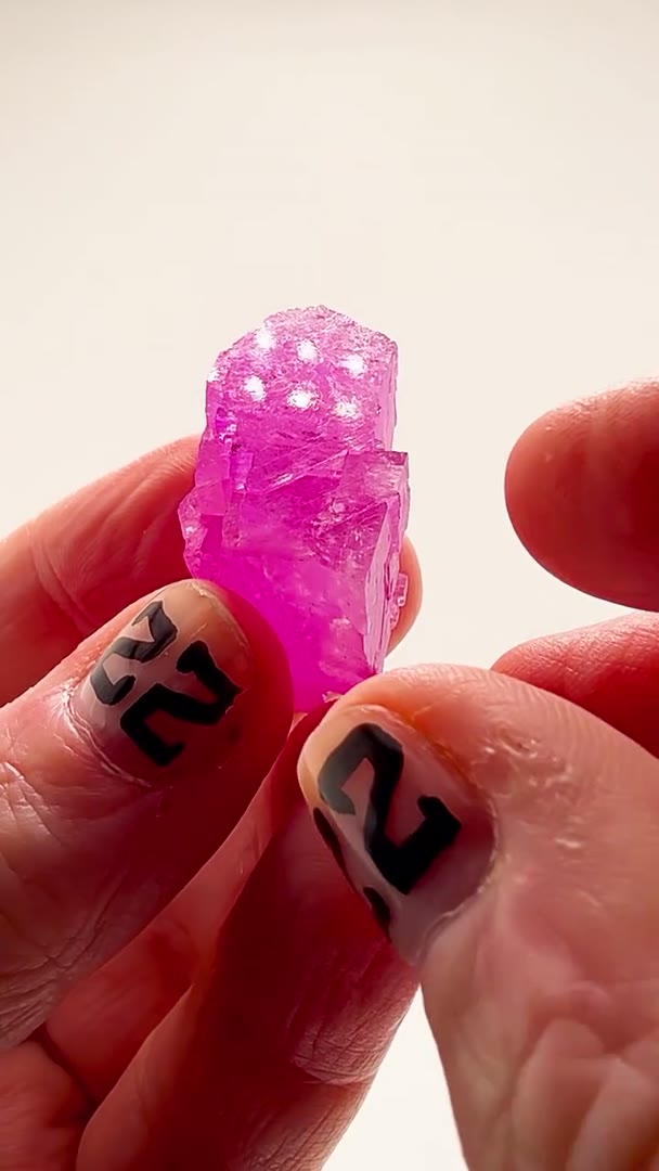 ABSOLUTE COLOR EXPLOSION