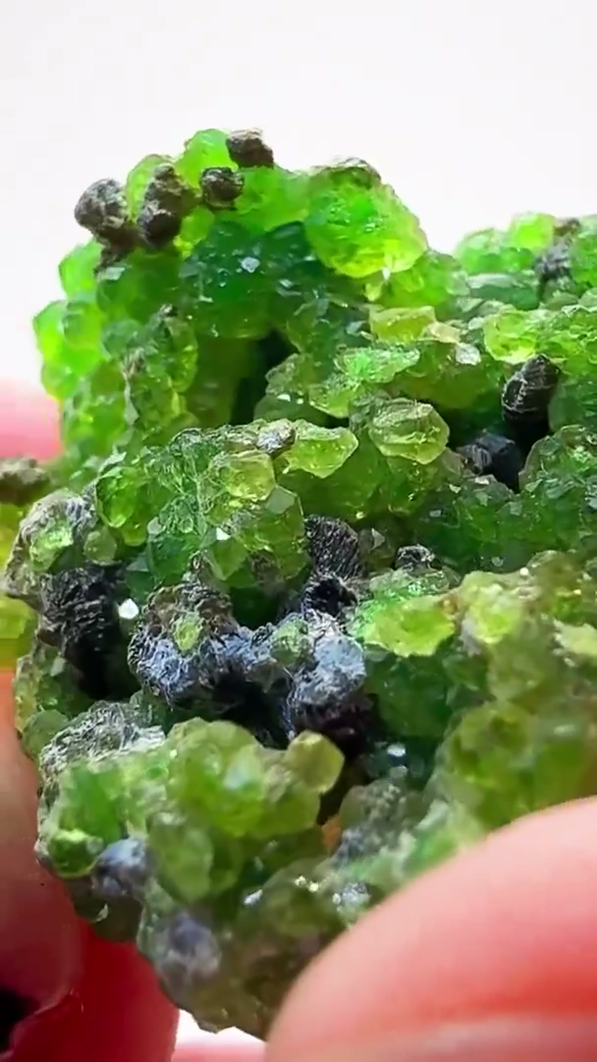 Garnet Specimen: Chrome Grossular Garnet - view 2