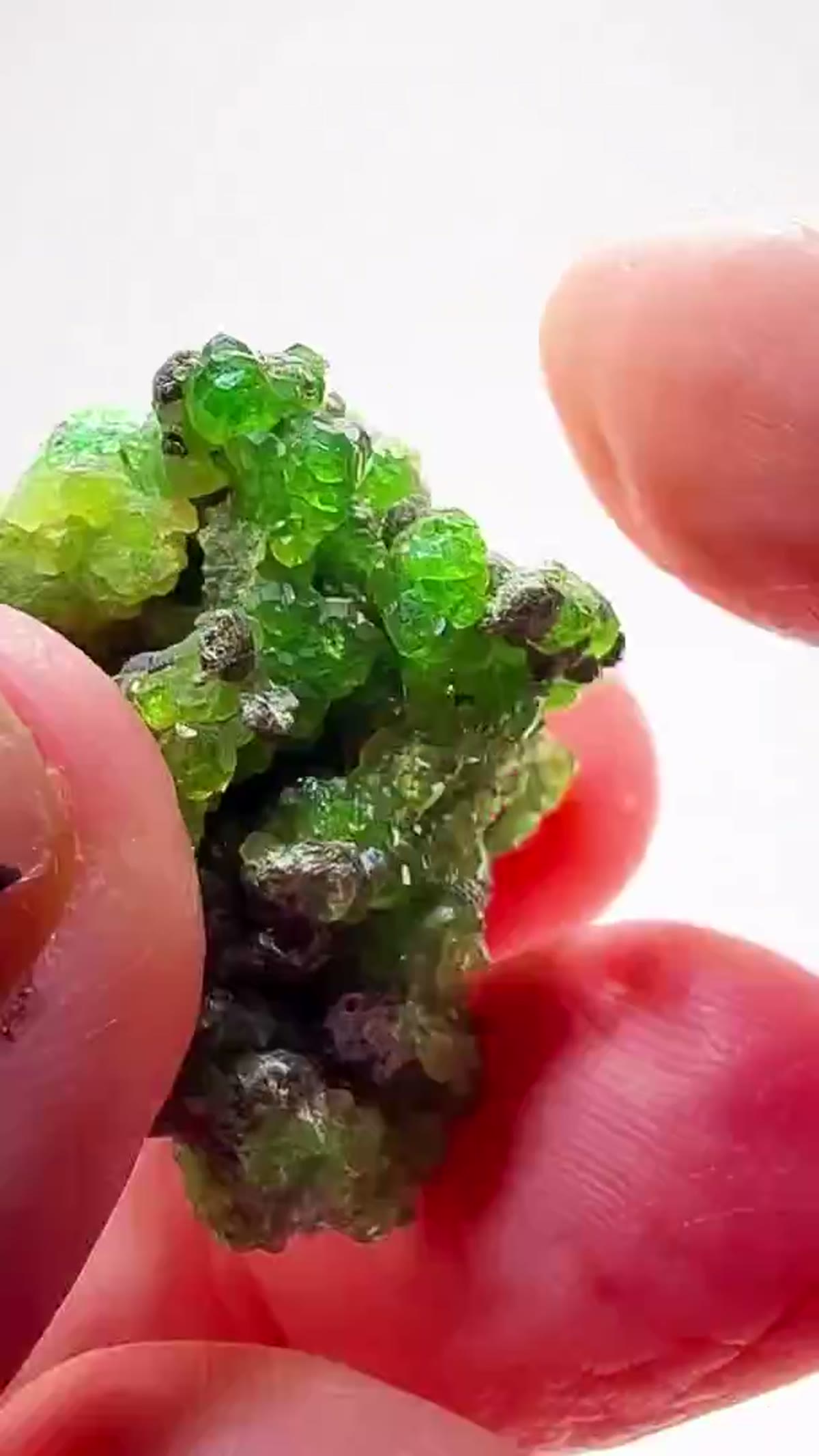 Garnet Specimen: Chrome Grossular Garnet - view 3
