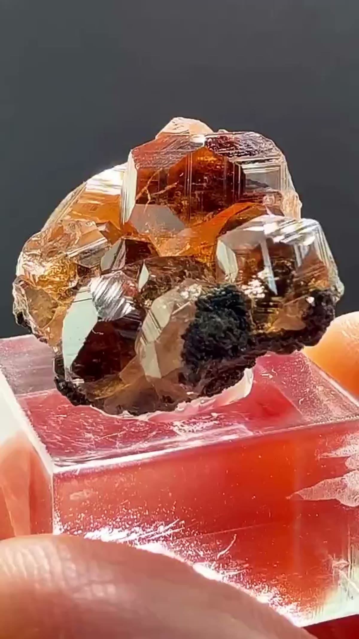 Garnet Specimen: Hessonite Garnet Perfection from Jeffrey Mine - view 2