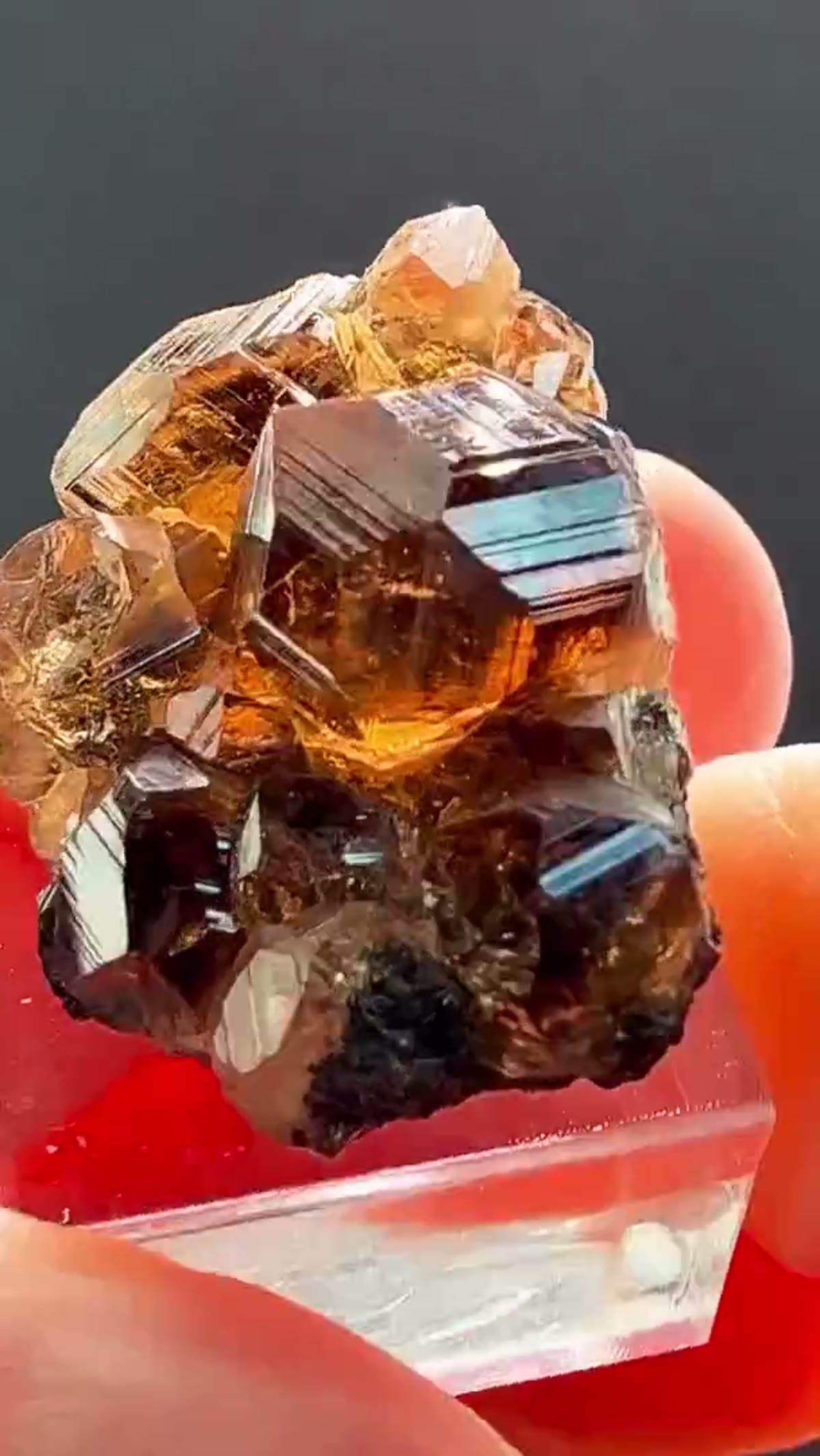 Garnet Specimen: Hessonite Garnet Perfection from Jeffrey Mine - view 4