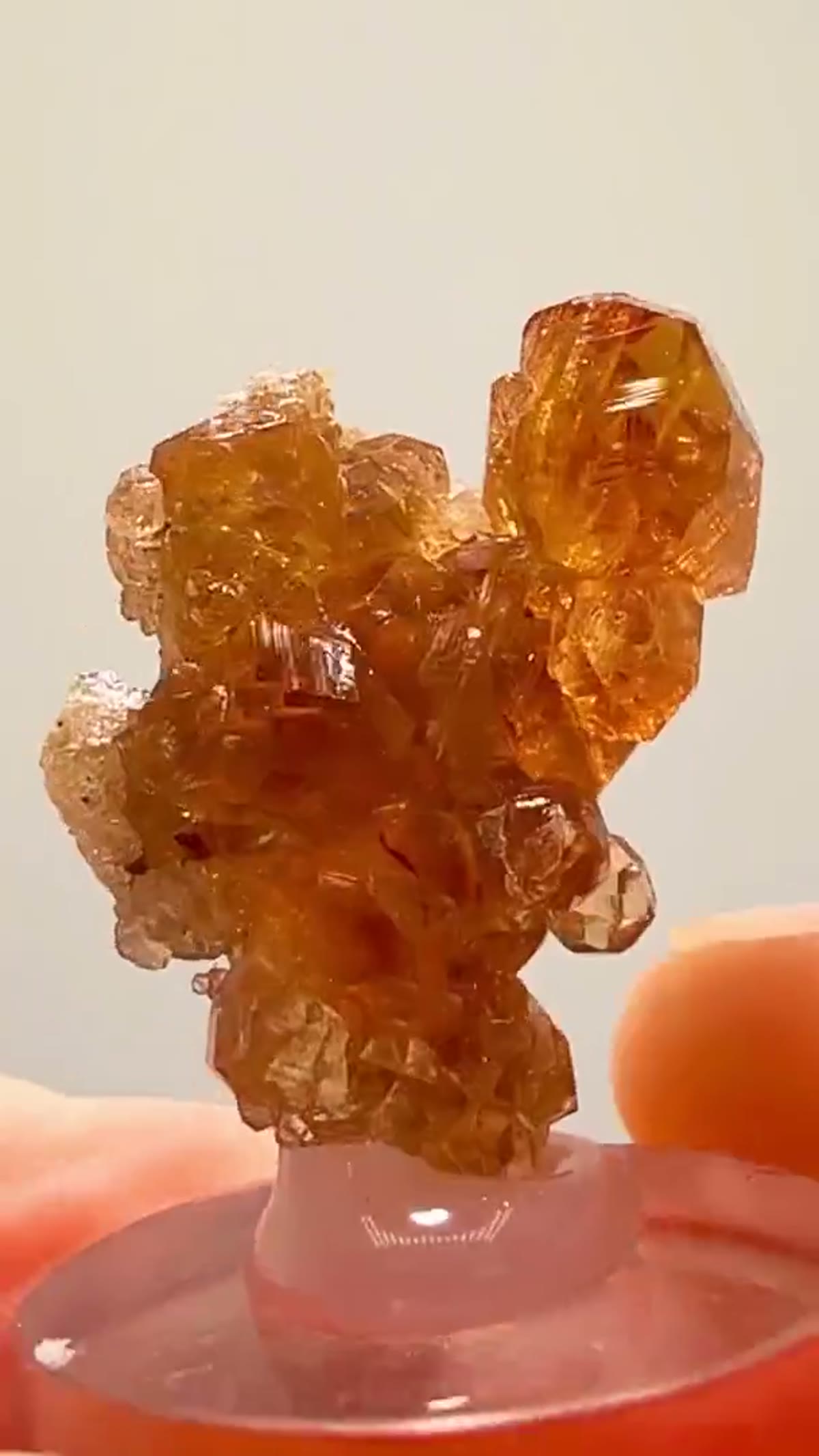 Garnet Specimen: Hessonite Garnet from Jeffrey Mine - view 2