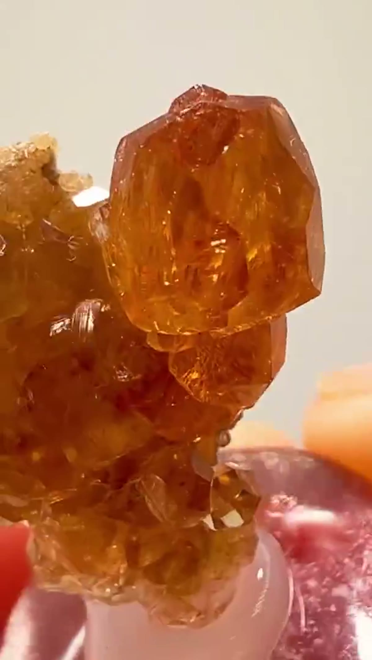 Garnet Specimen: Hessonite Garnet from Jeffrey Mine - view 3