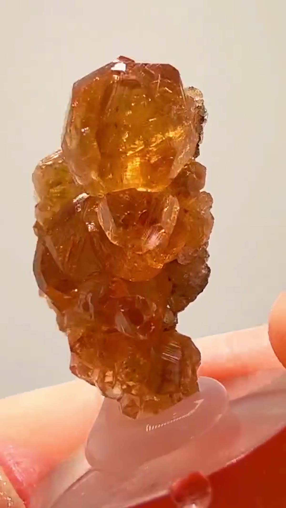 Garnet Specimen: Hessonite Garnet from Jeffrey Mine - view 4