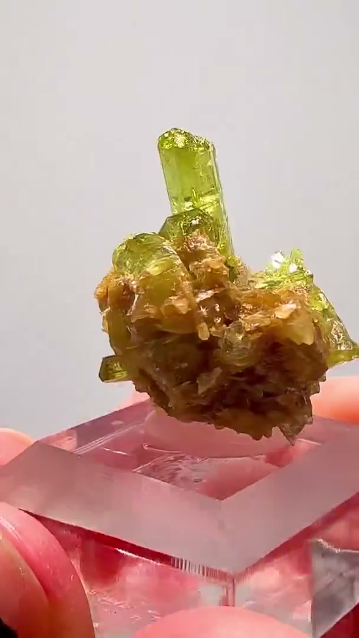Vesuvianite Specimen: Vesuvianite Gem Perfection - view 4