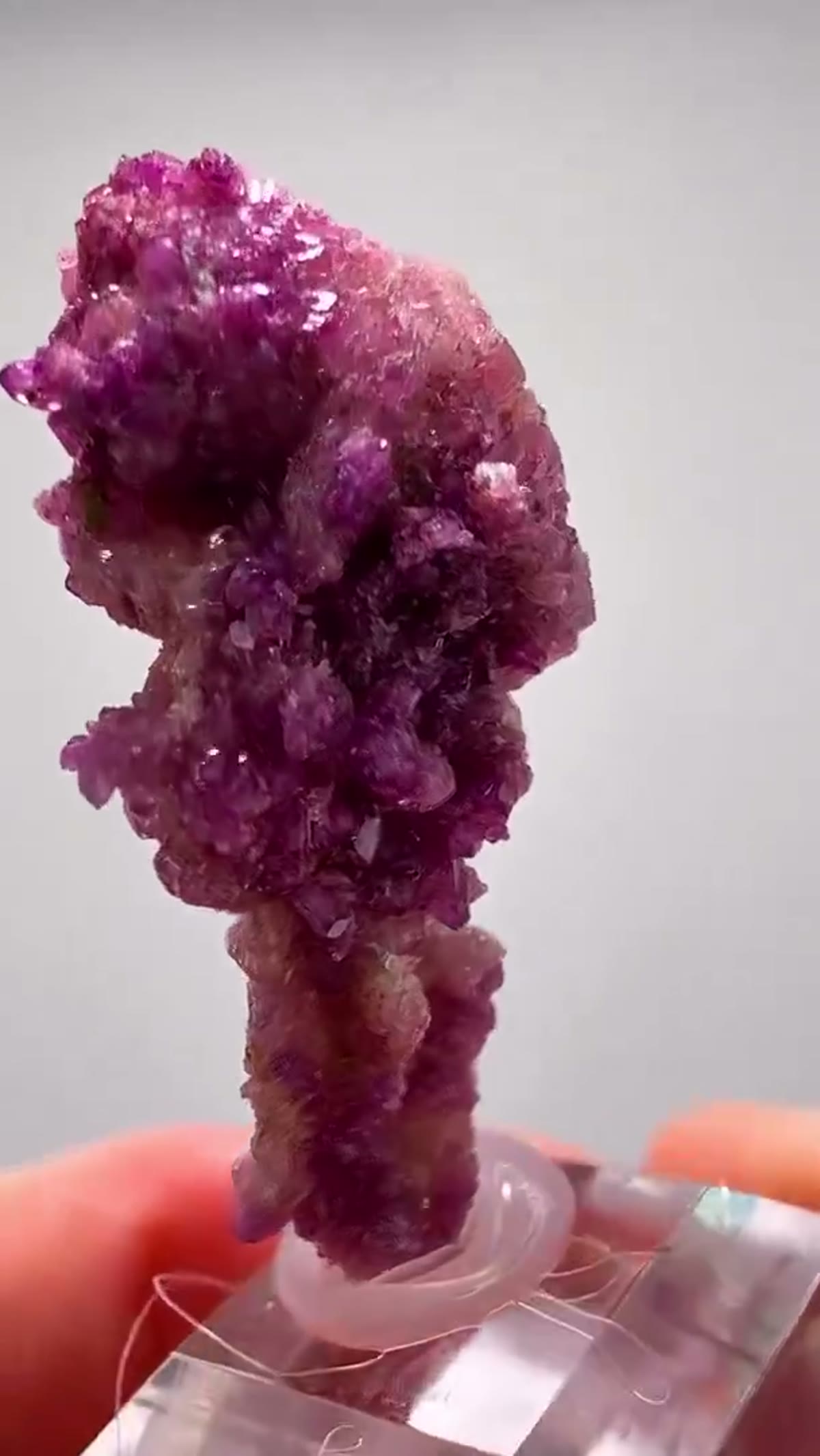 Vesuvianite Specimen: Manganovesuvianite Raspberry Color - view 2