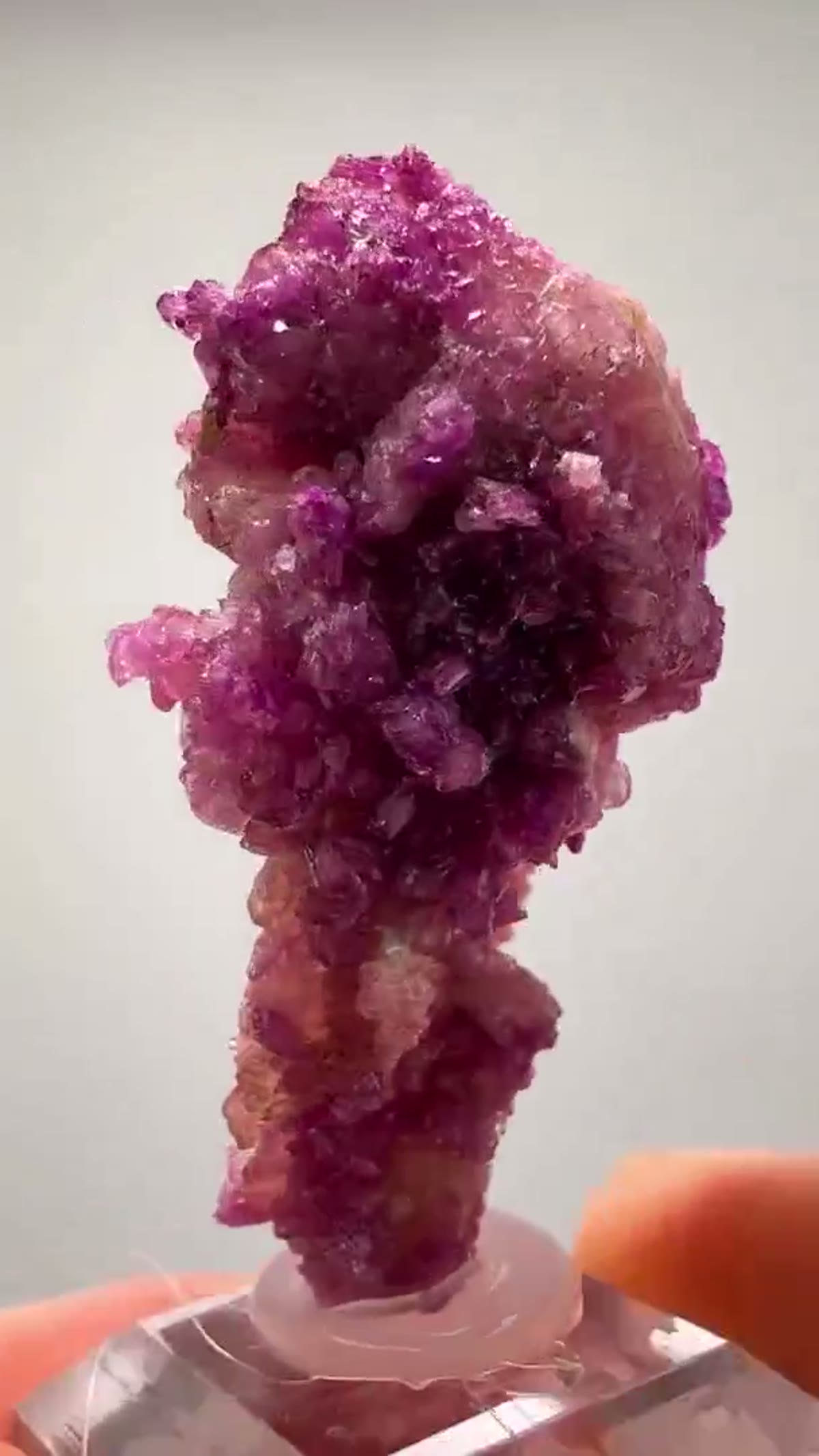 Vesuvianite Specimen: Manganovesuvianite Raspberry Color - view 4