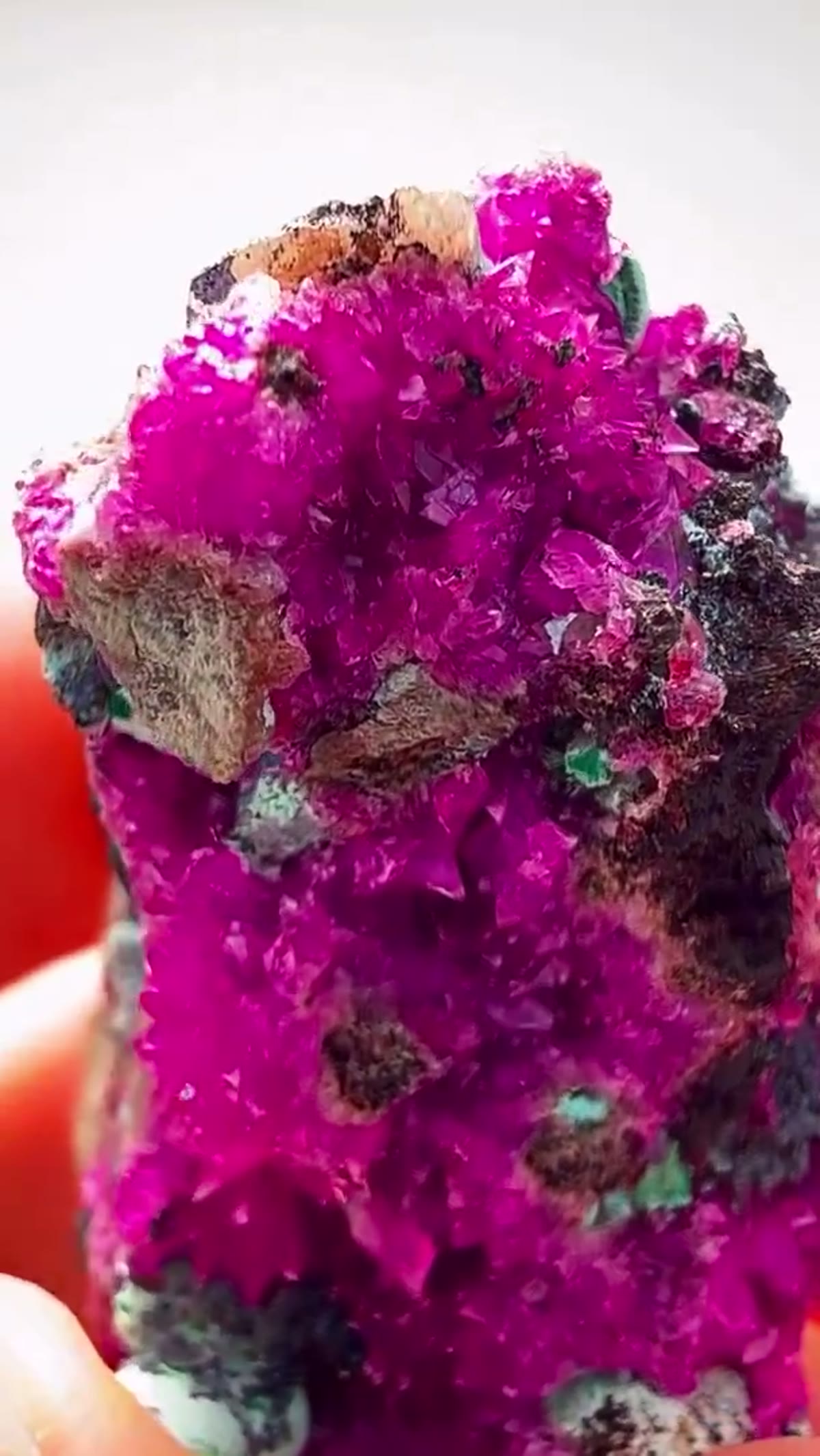 Calcite Specimen: Congo Pink at Another Level - view 2