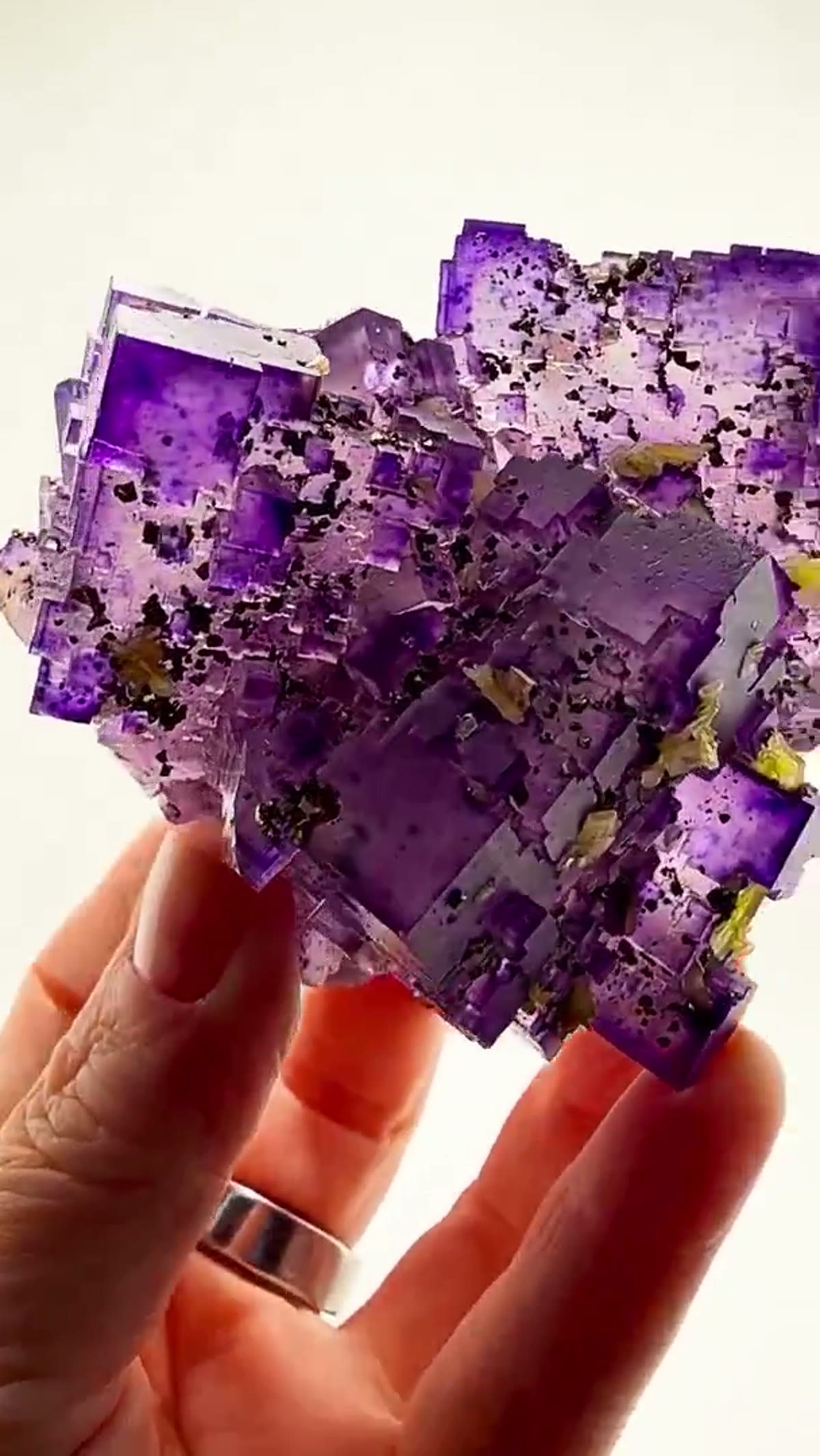 Fluorite Specimen from Denton Mine, Illinois: Denton Mine Purple Perfection - view 2