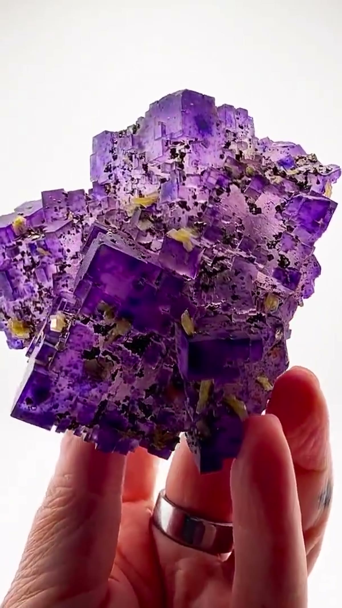Fluorite Specimen from Denton Mine, Illinois: Denton Mine Purple Perfection - view 3