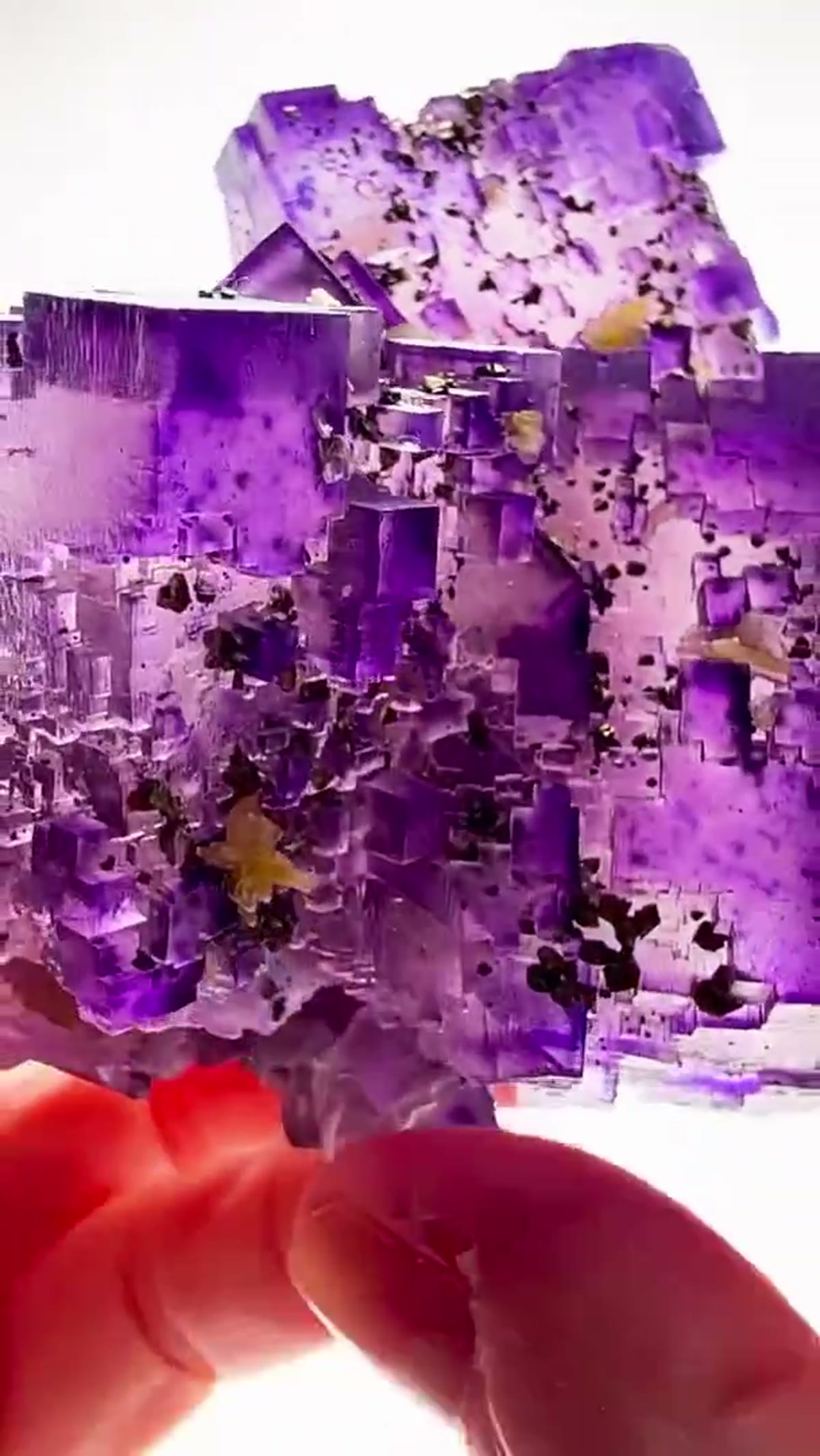 Fluorite Specimen from Denton Mine, Illinois: Denton Mine Purple Perfection - view 4