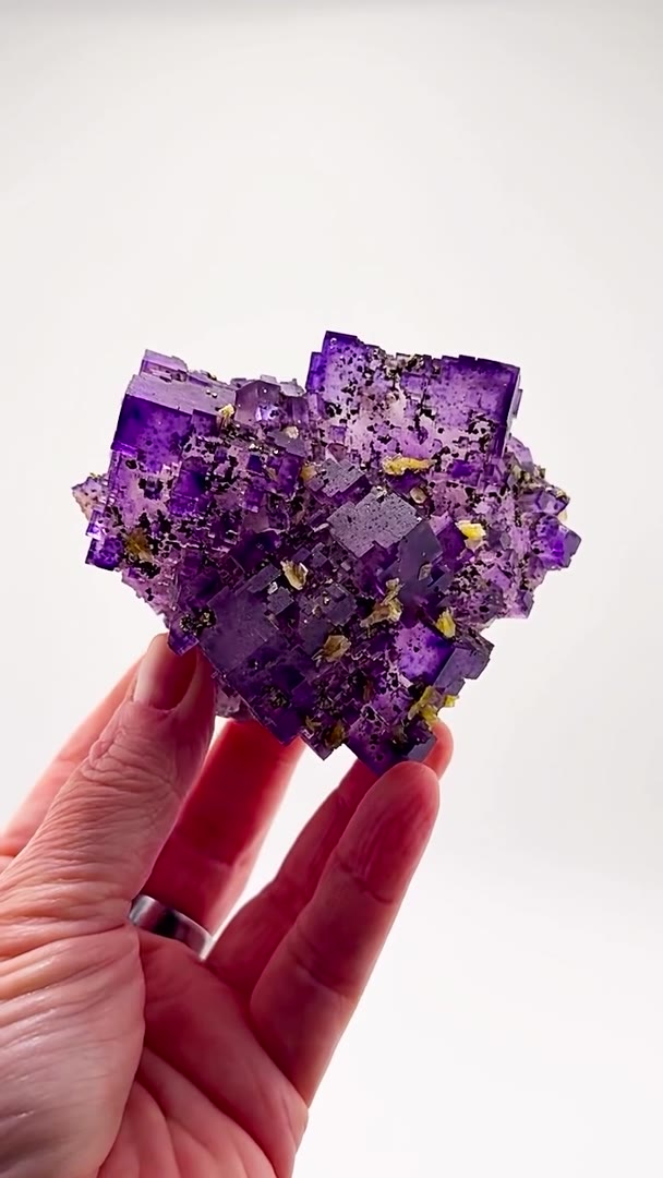DENTON MINE PURPLE PERFECTION