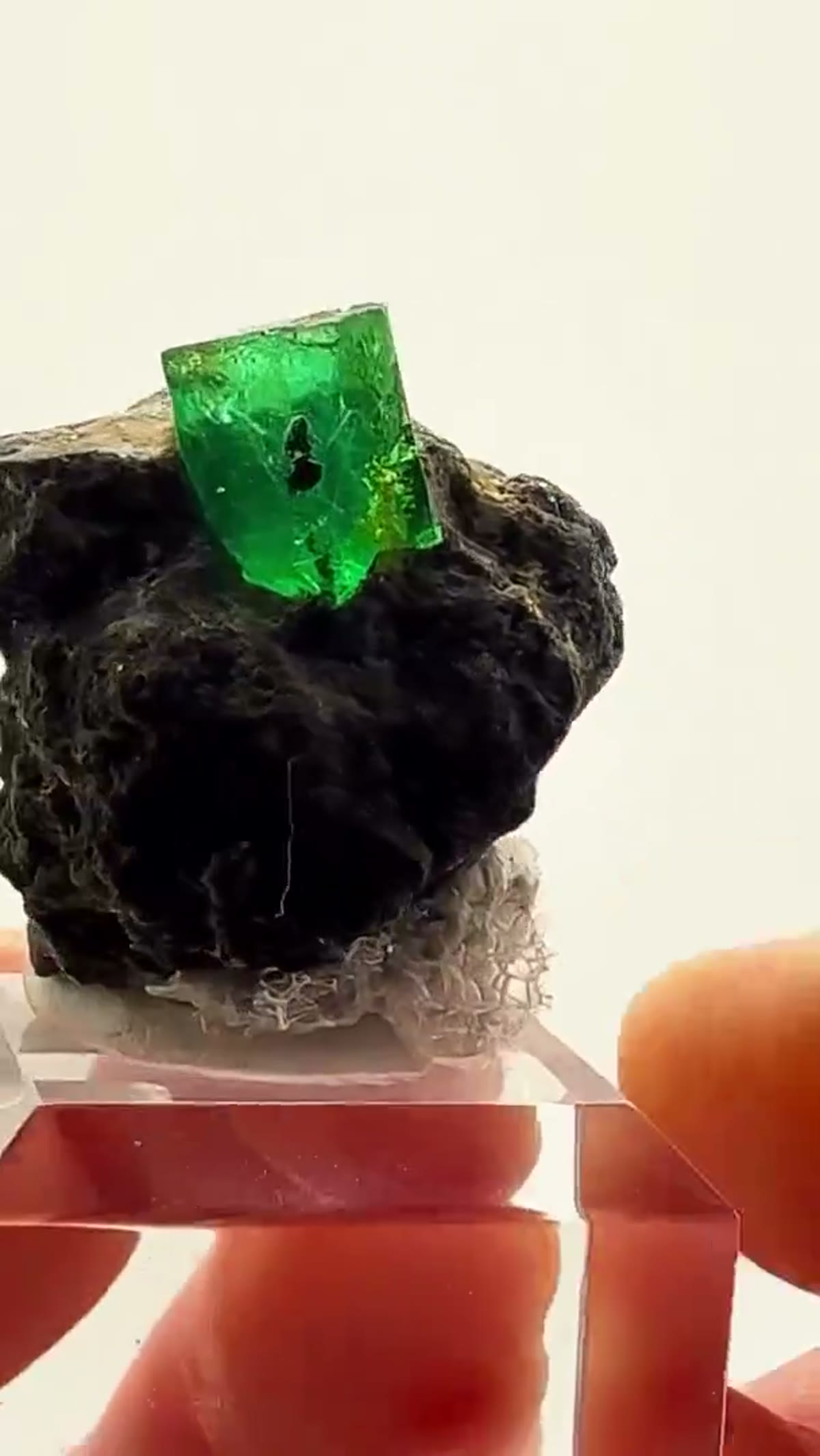 Emerald Specimen: Colombian Emerald Perfection - view 2