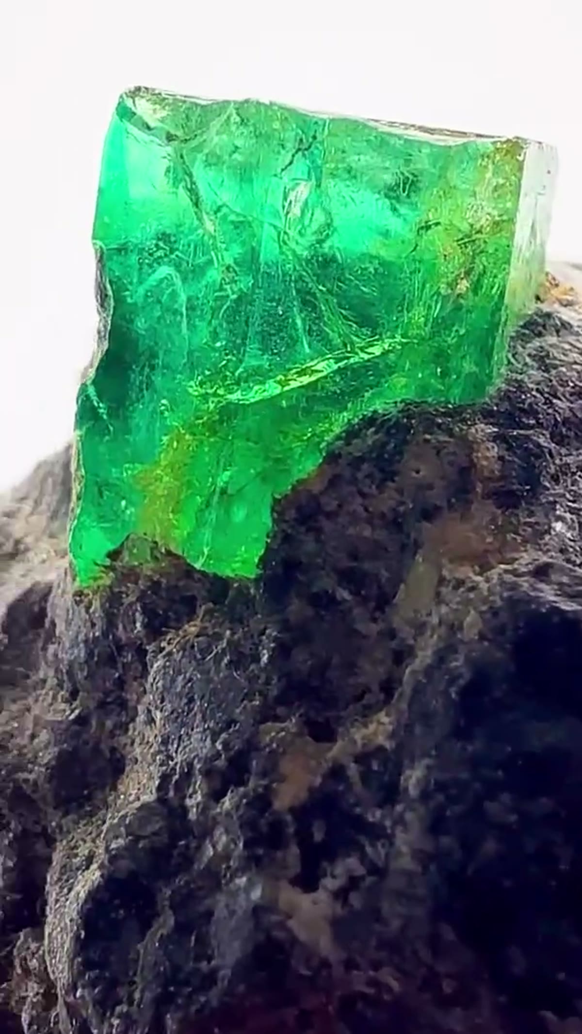 Emerald Specimen: Colombian Emerald Perfection - view 3