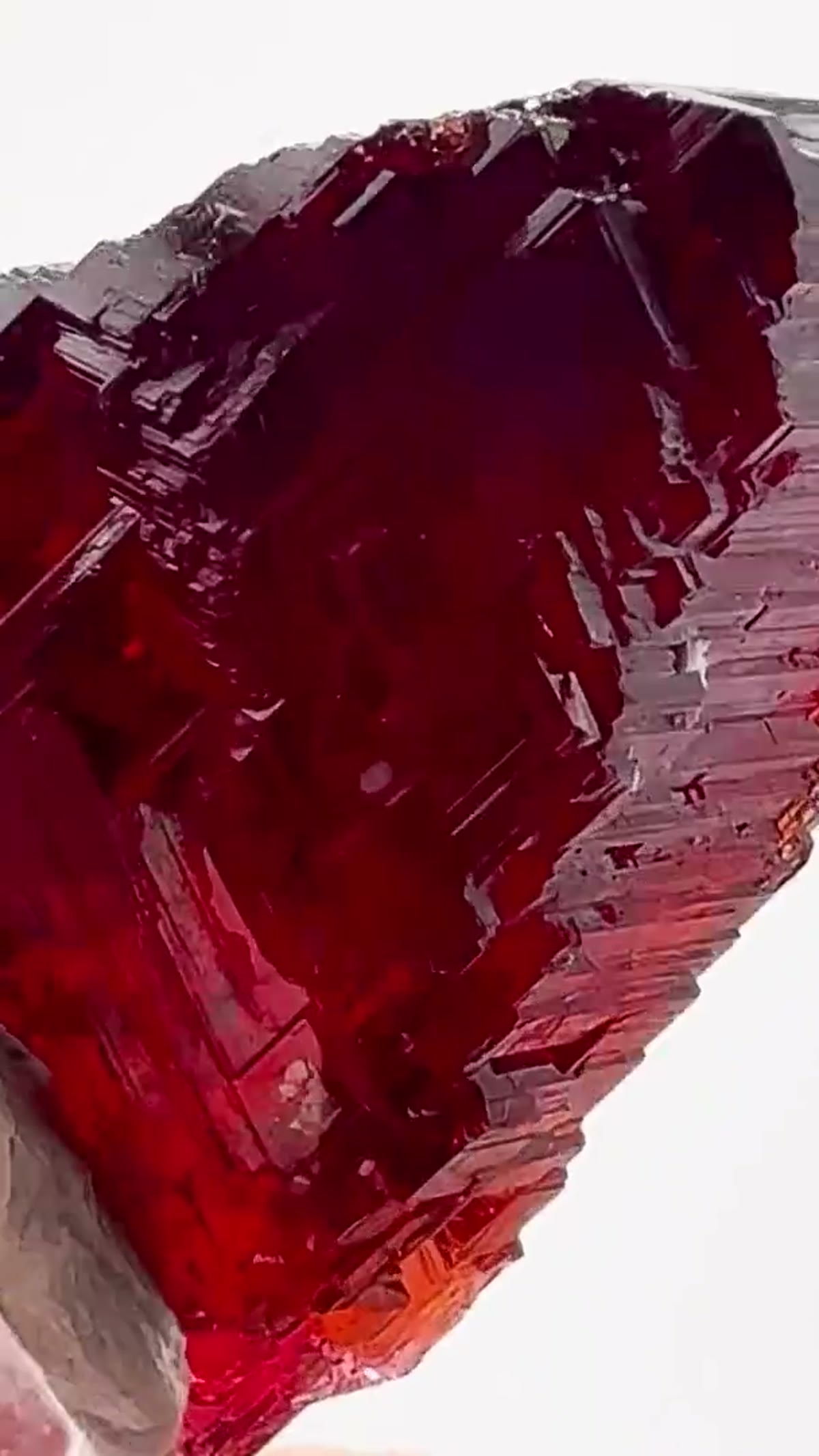 Garnet Specimen from Minas Gerais, Brazil: Etched Navegadora Spessartine — Absolute - view 3