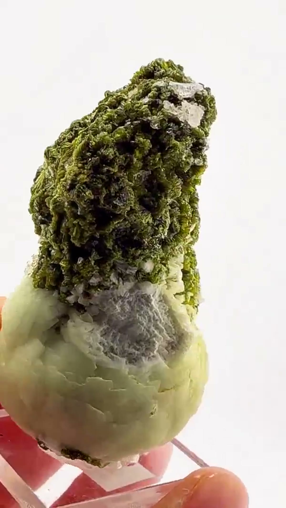 Mineral Specimen: Epidote + Prehnite — Moroccan Perfection - view 2
