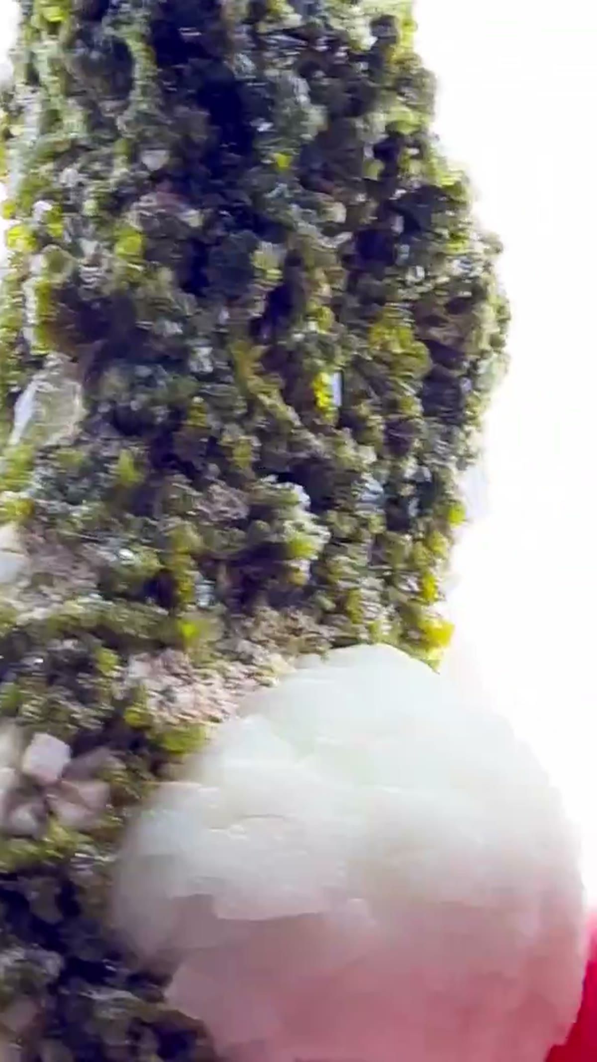 Mineral Specimen: Epidote + Prehnite — Moroccan Perfection - view 3
