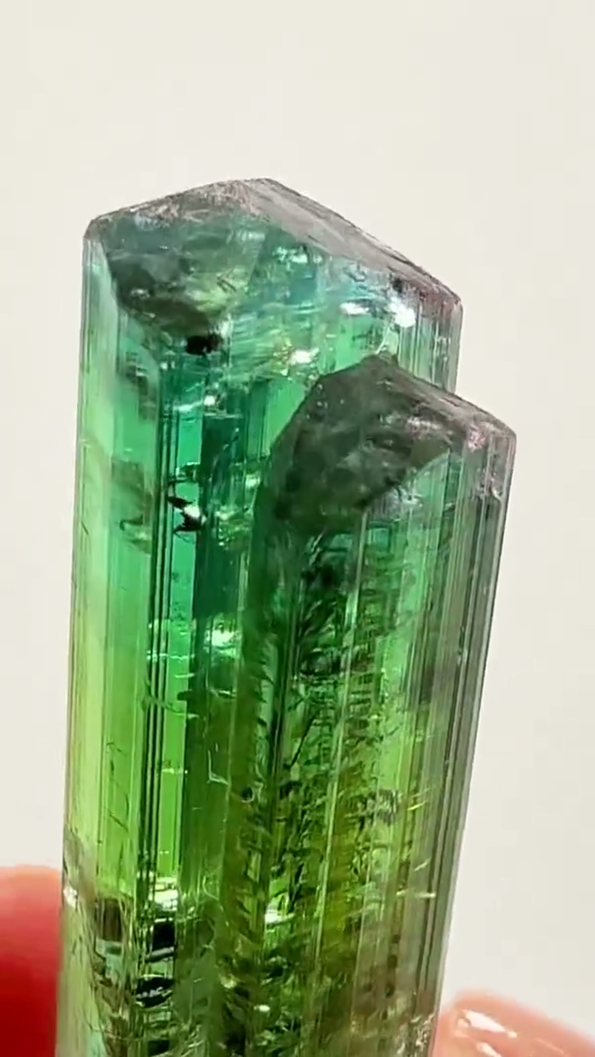 Elbaite Tourmaline Specimen from Paprok, Afghanistan, 11.85 g - view 3