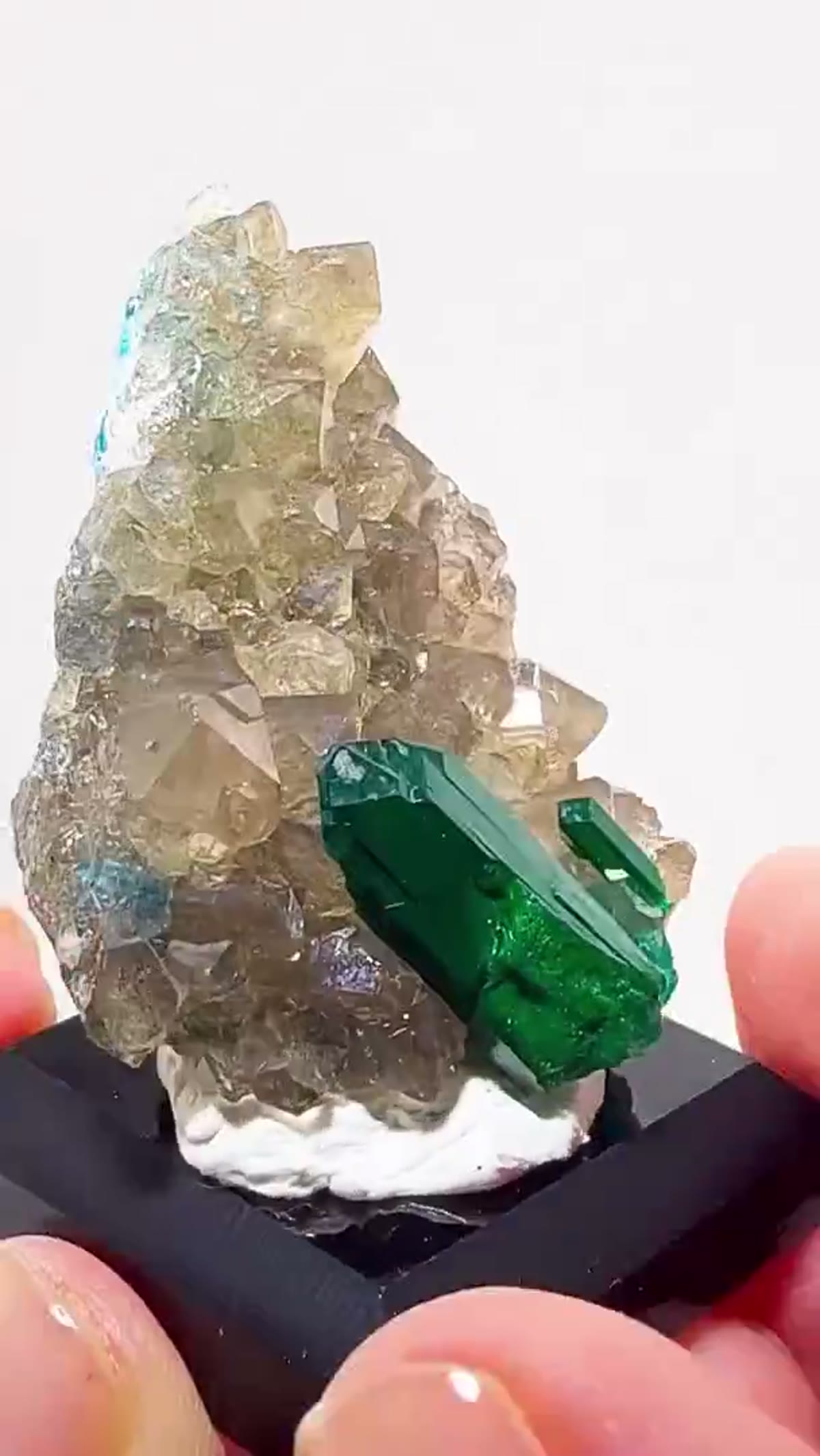 Dioptase Specimen: Dioptase on Calcite — Congo Color! - view 3