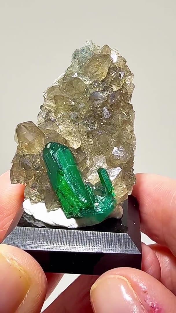 DIOPTASE ON CALCITE — CONGO COLOR!