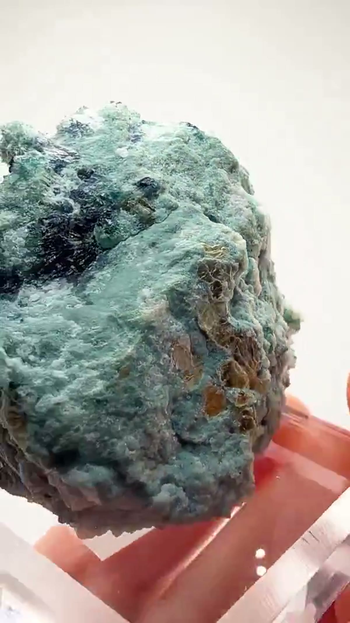Elbaite Tourmaline Specimen from Afghanistan: Tourmaline Cluster Perfection - view 3