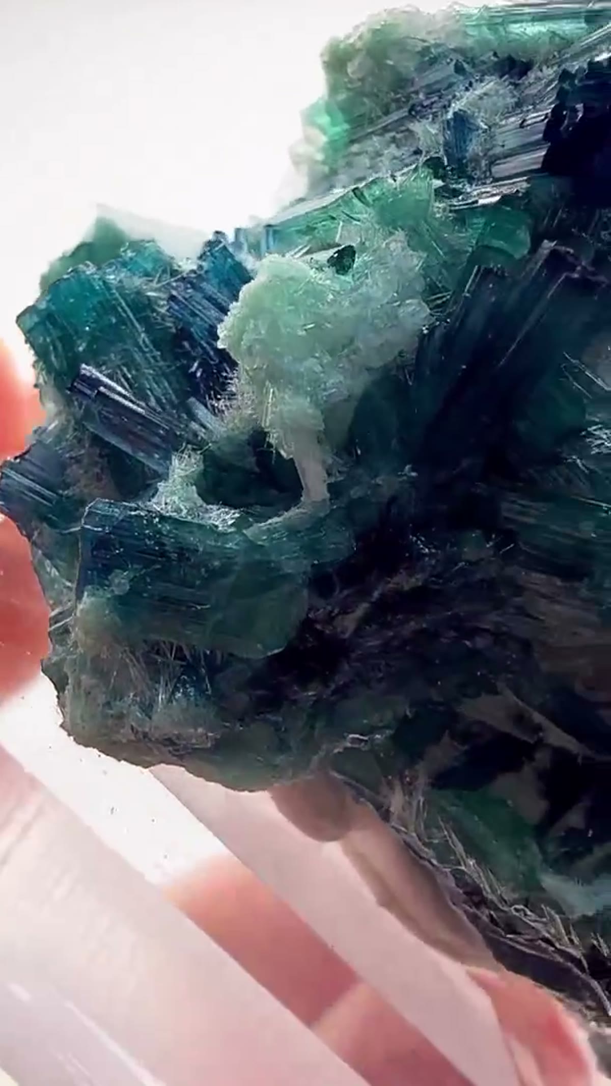 Elbaite Tourmaline Specimen from Afghanistan: Tourmaline Cluster Perfection - view 4