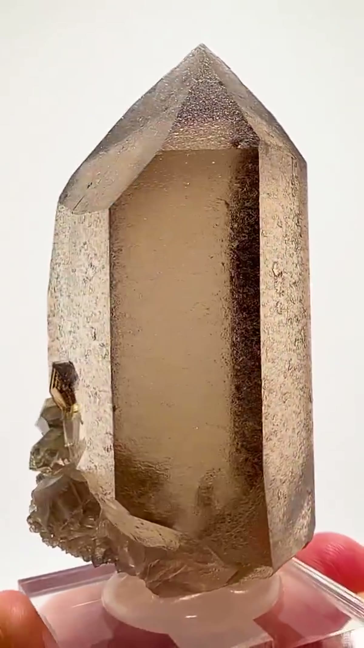 Smoky Quartz Specimen: Chamonix Smoky Quartz Perfection - view 2