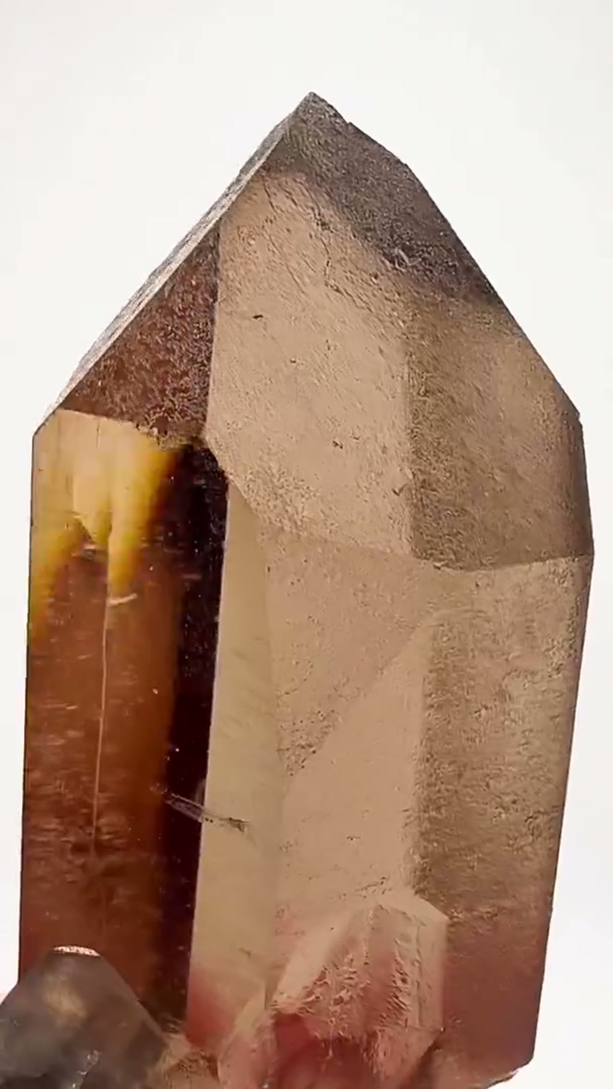 Smoky Quartz Specimen: Chamonix Smoky Quartz Perfection - view 3