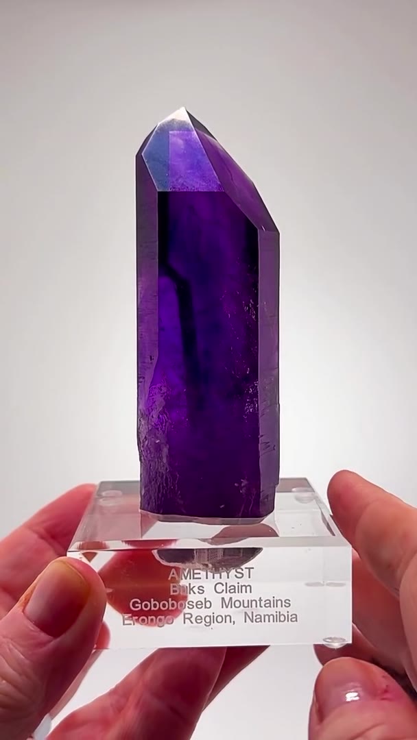 BUKS CLAIM BLURPLE MAGIC