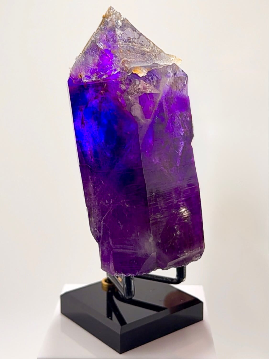 486 GRAMS OF BLURPLE BUKS CLAIM FIRE