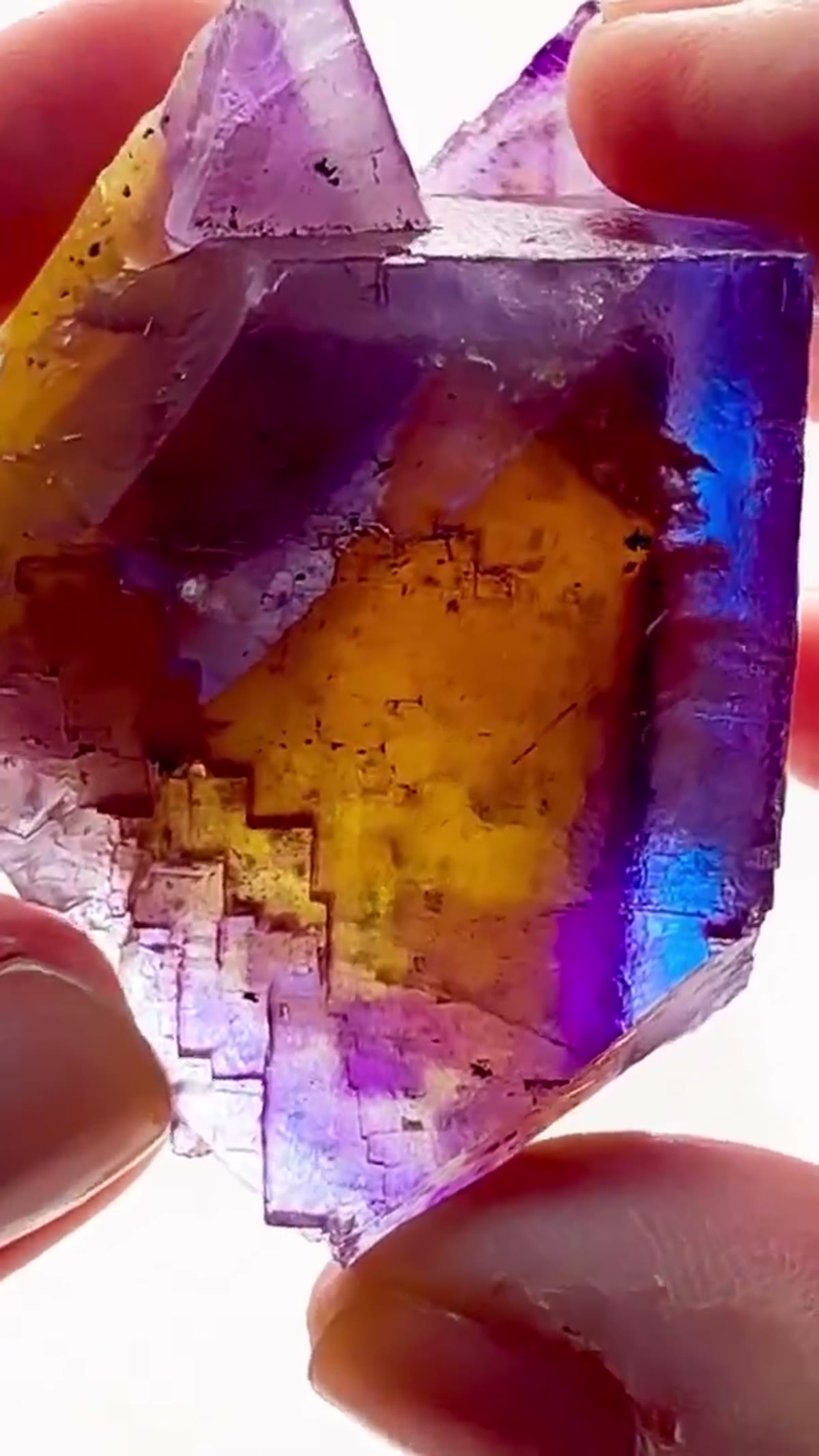 Fluorite Specimen from Minerva No. 1 Mine, Illinois: Minerva No. 1 — Tri-Color Plus - view 3