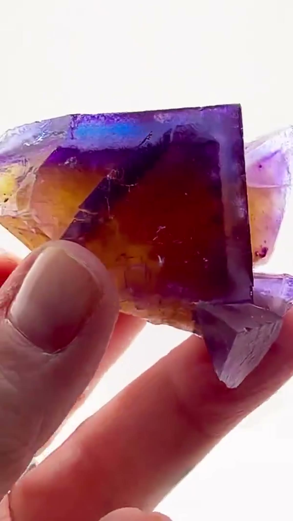 Fluorite Specimen from Minerva No. 1 Mine, Illinois: Minerva No. 1 — Tri-Color Plus - view 4