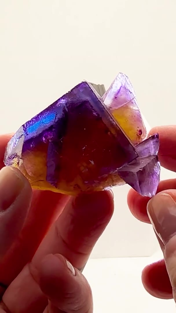 MINERVA NO. 1 — TRI-COLOR PLUS