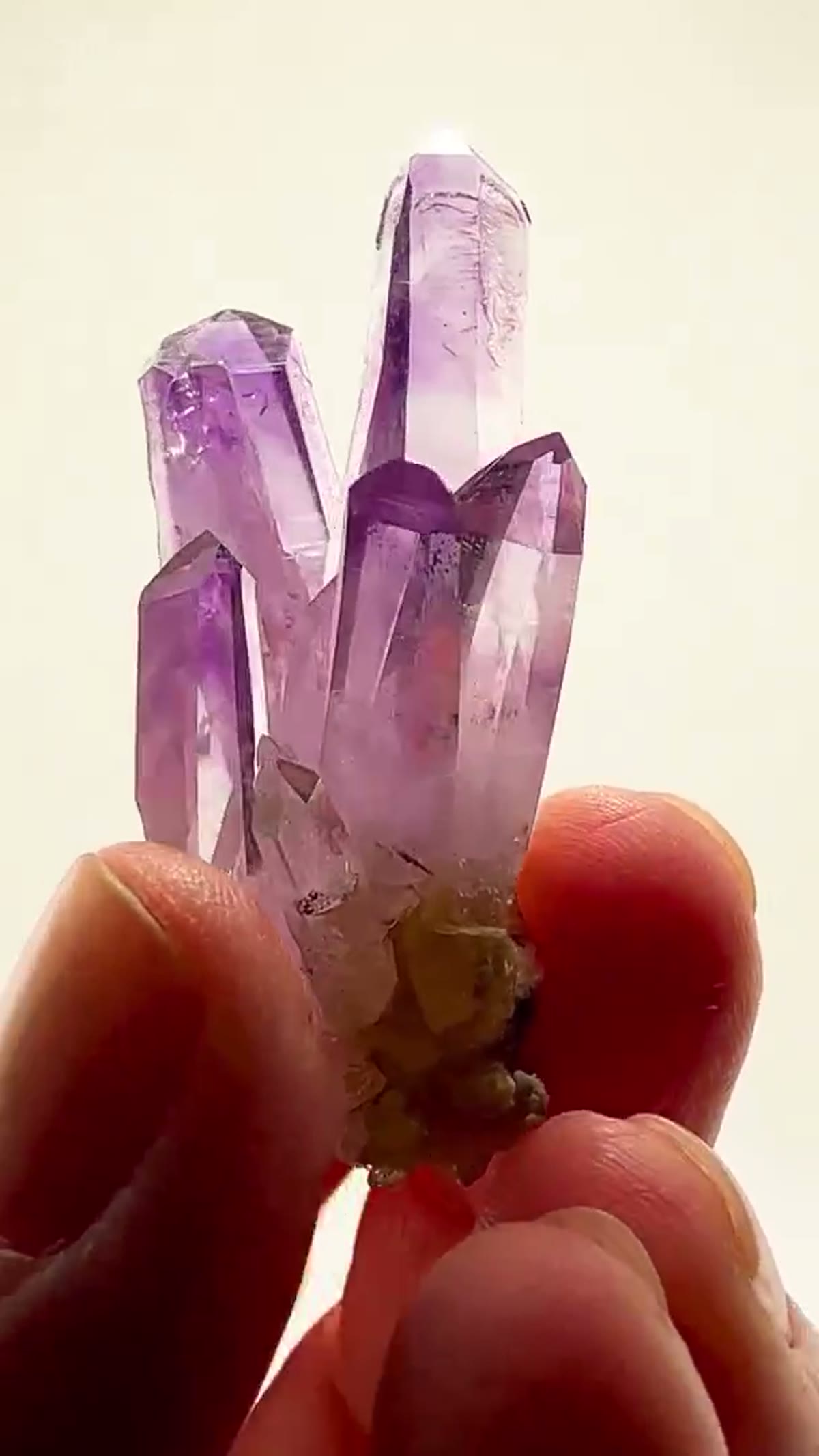 Amethyst Specimen from Mexico: Veracruz Amethyst Perfection - view 2