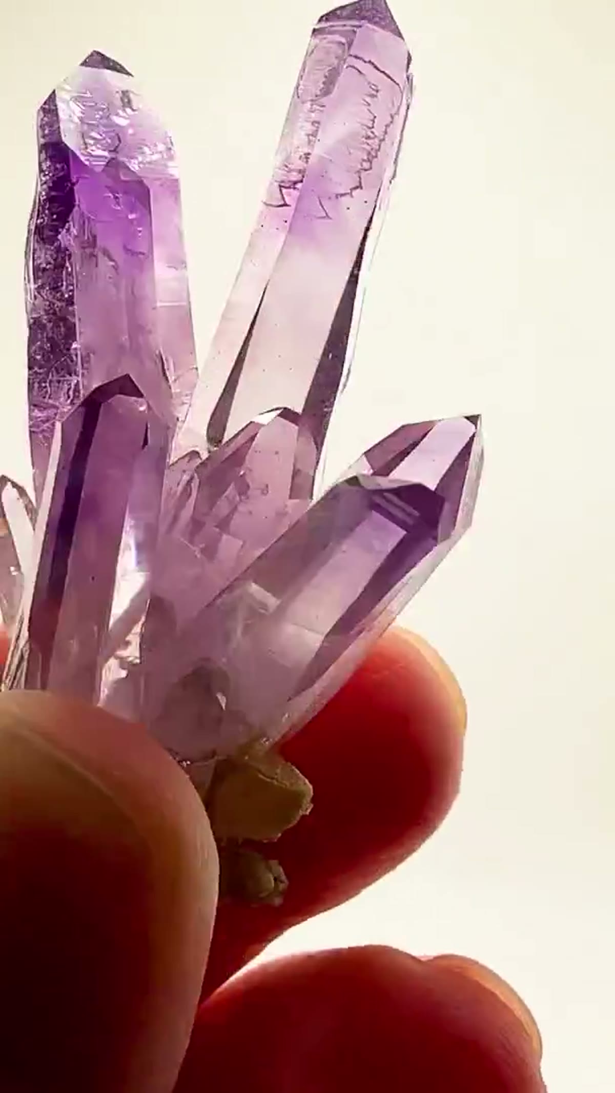 Amethyst Specimen from Mexico: Veracruz Amethyst Perfection - view 3