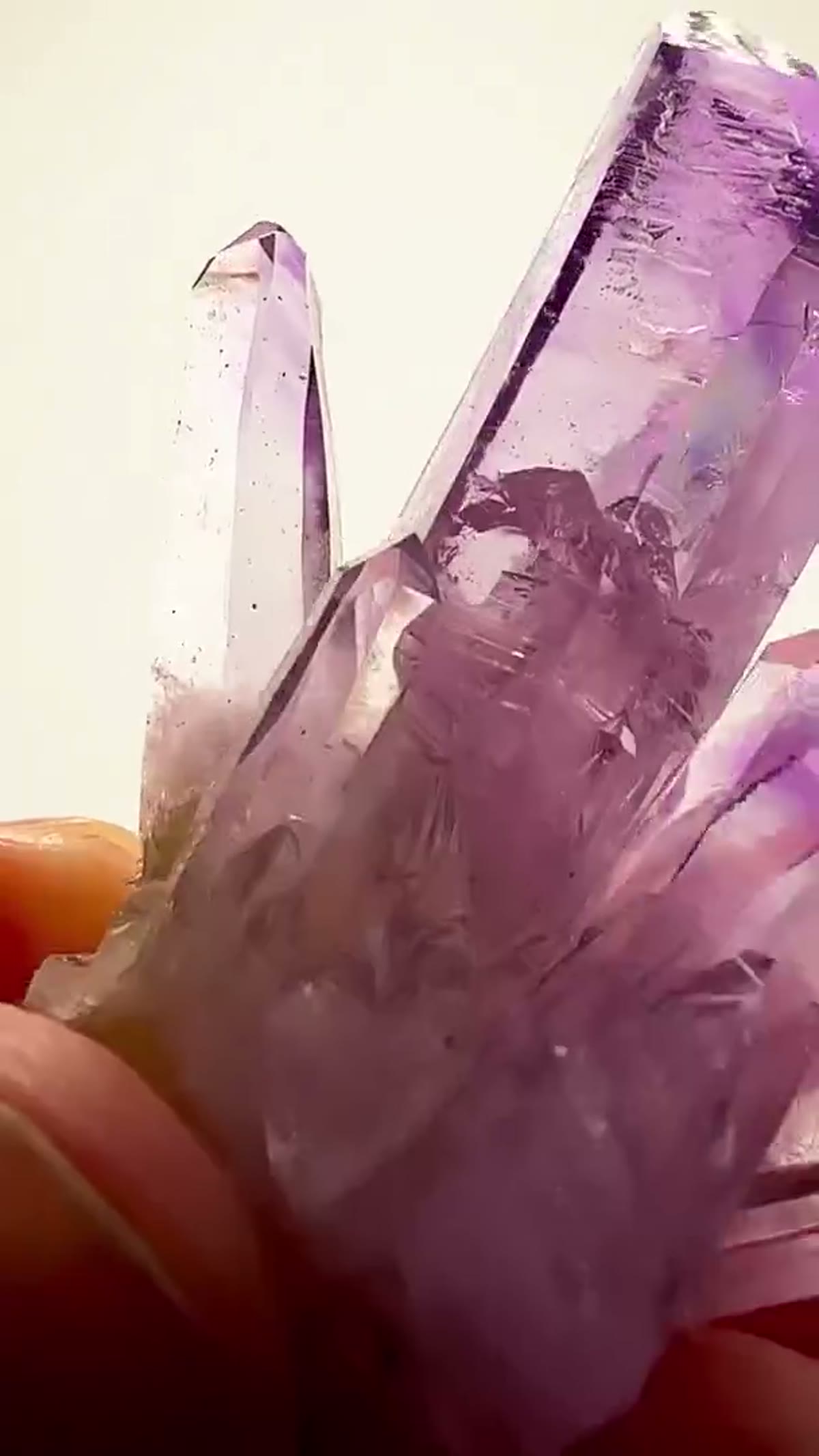 Amethyst Specimen from Mexico: Veracruz Amethyst Perfection - view 4