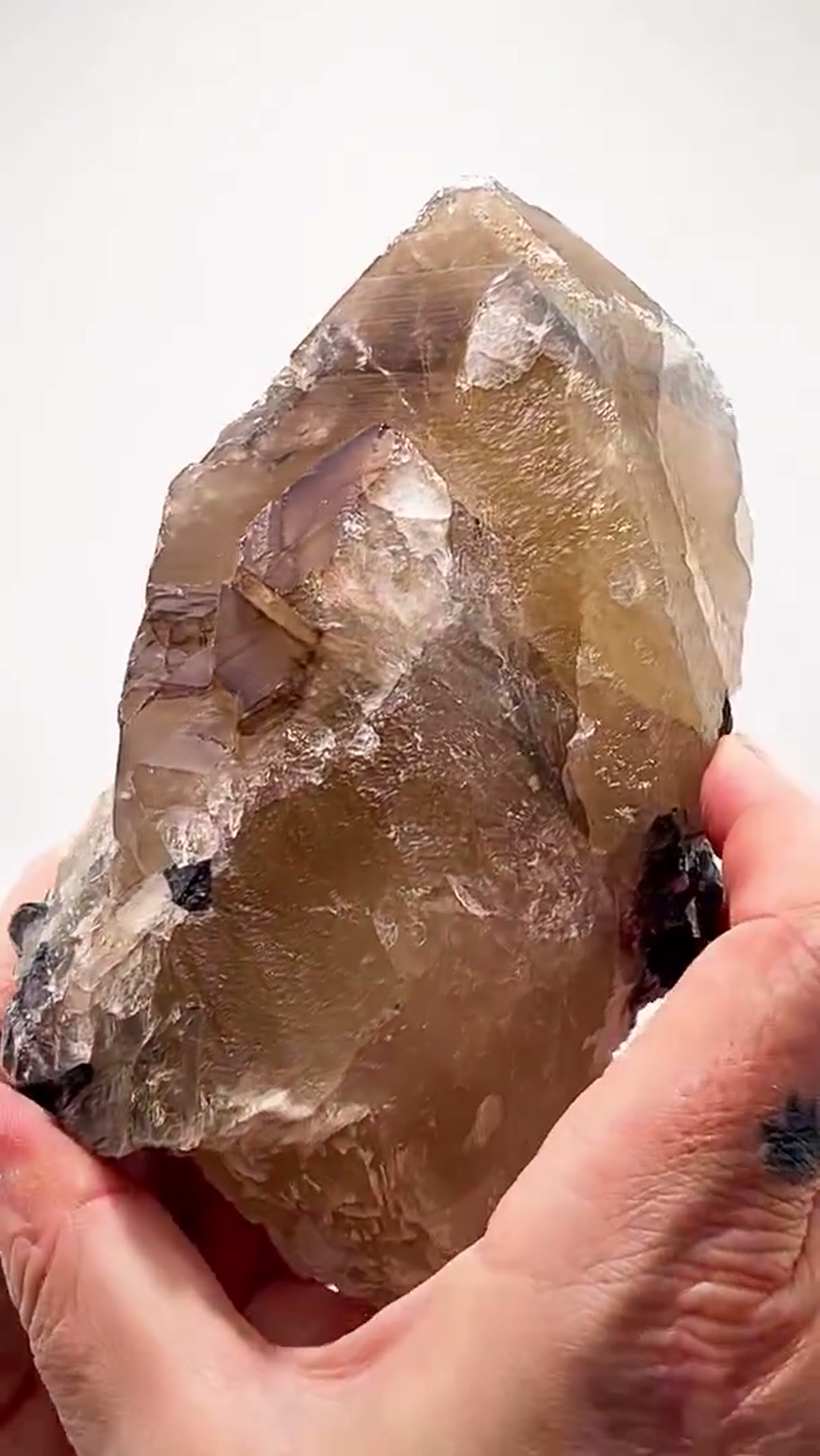 Elbaite Tourmaline Specimen from Brazil: Smoky Citrine Quartz Loaded with Tourmaline - view 4