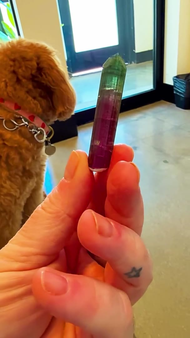 VET VISIT… BUT MAKE IT TOURMALINE
