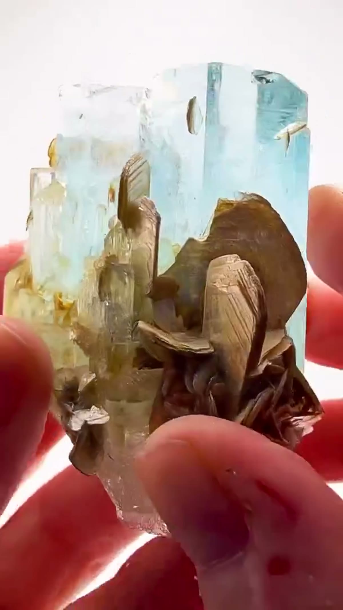 Aquamarine Specimen from Shigar Valley, Pakistan: Shigar Valley Magic… with a Surprise Inside - view 4