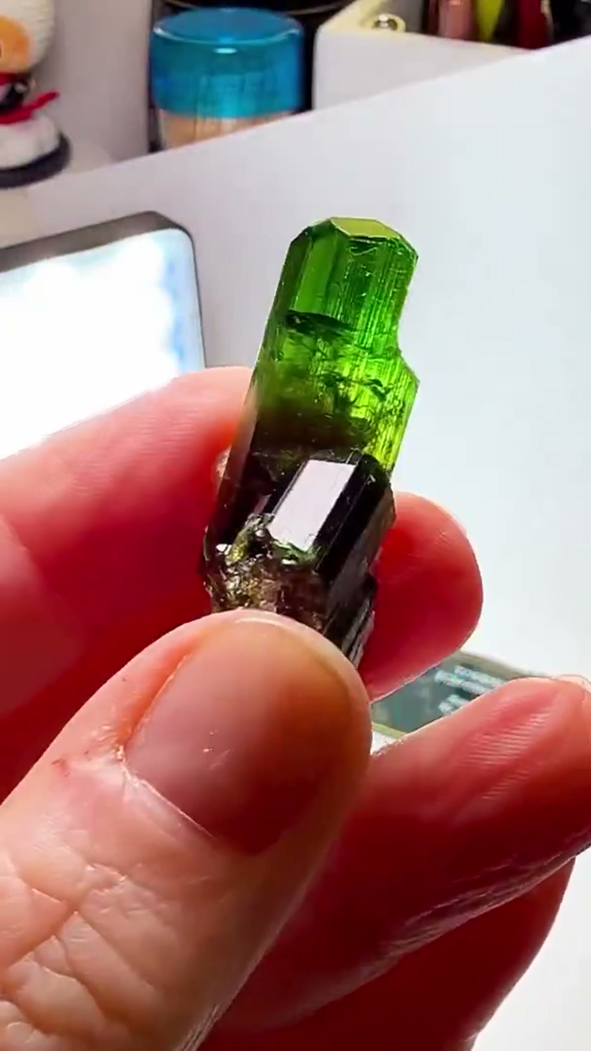 Elbaite Tourmaline Specimen from Tanzania, 11.47 g - view 3