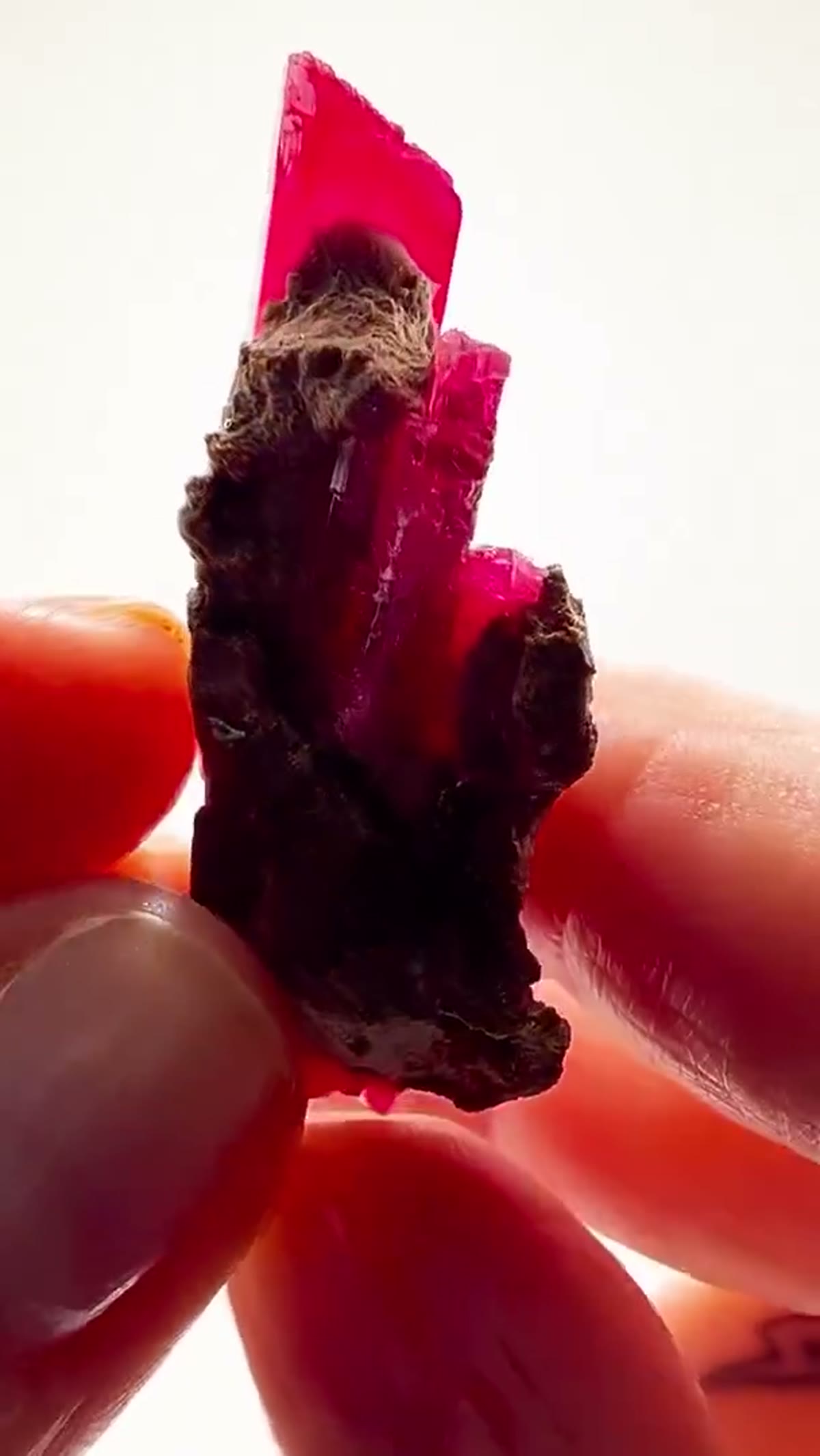 Mineral Specimen from Minas Gerais, Brazil: Absolute Cherry Rhodonite - view 4