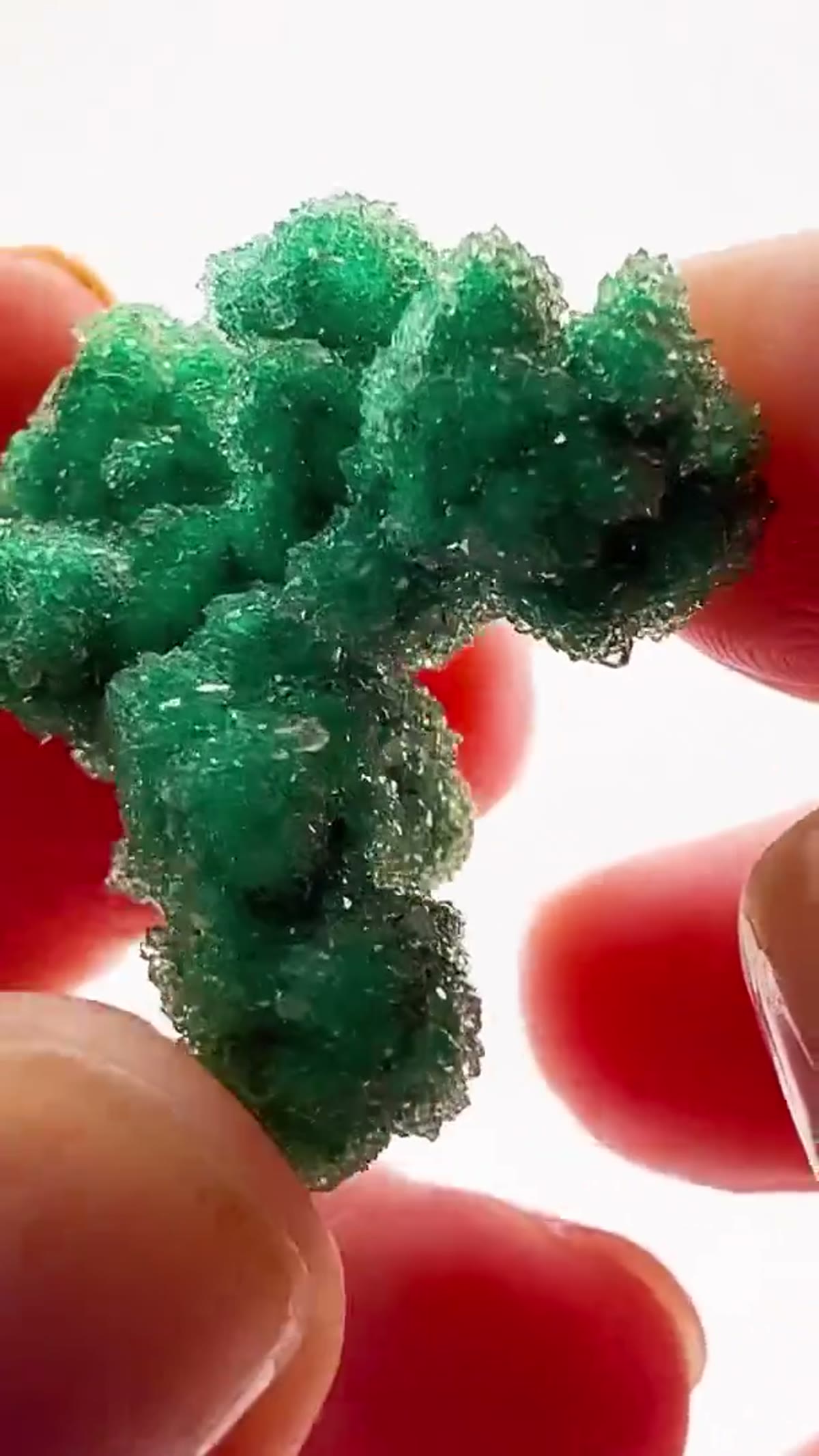 Malachite Specimen: Congo Sparkler - view 2