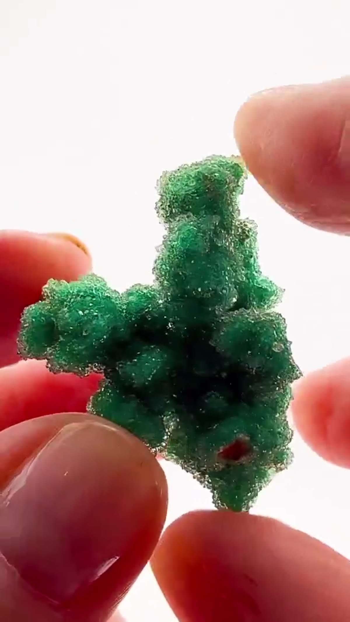 Malachite Specimen: Congo Sparkler - view 3